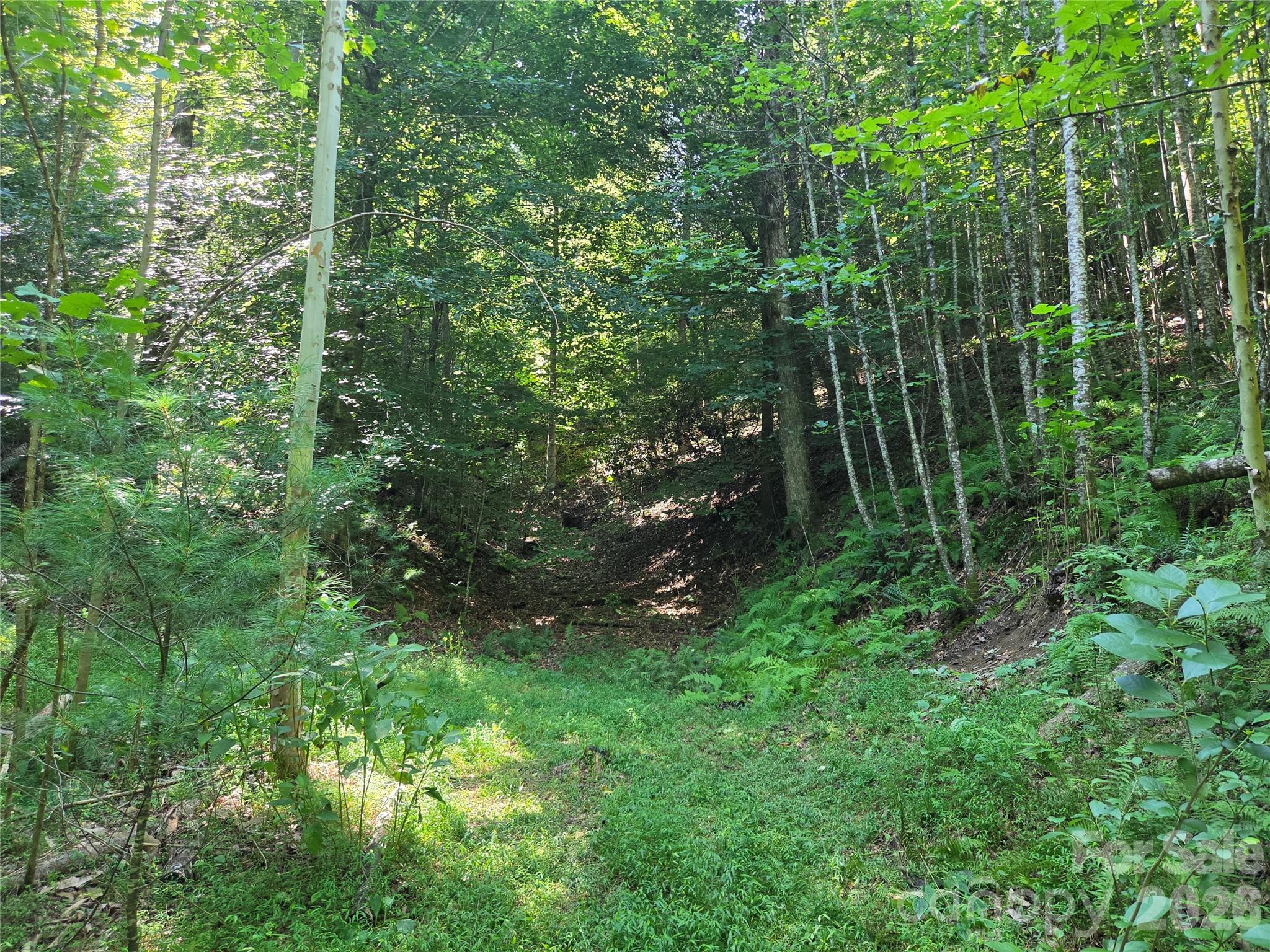 700 Nelson Lane Property Photo 27