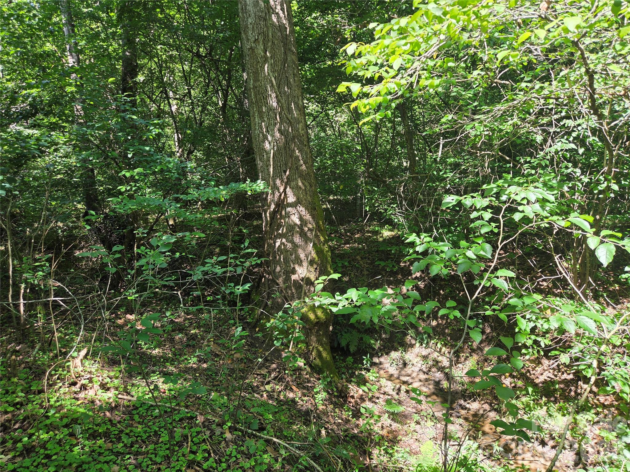 700 Nelson Lane Property Photo 35