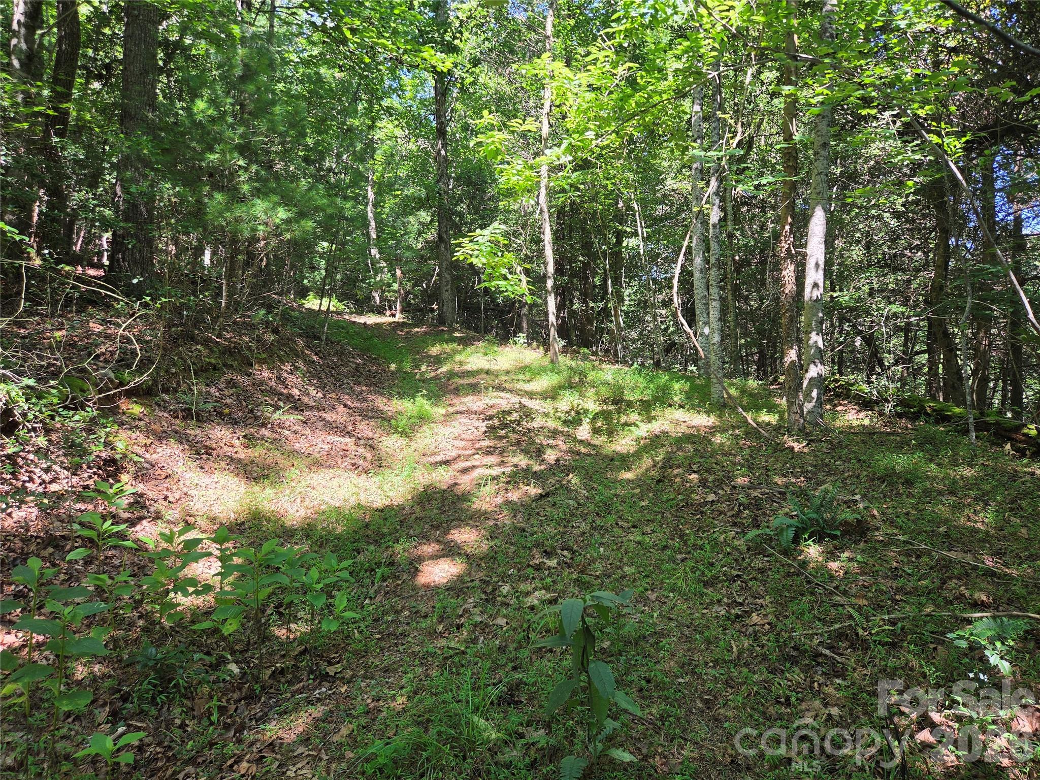 700 Nelson Lane Property Photo 38