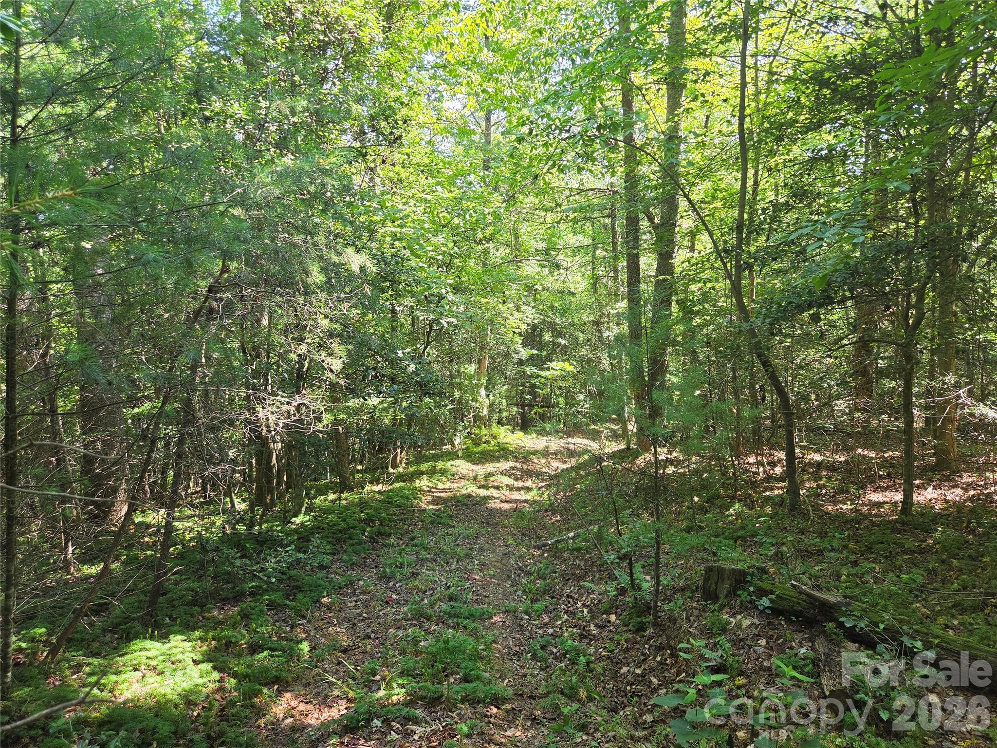 700 Nelson Lane Property Photo 42