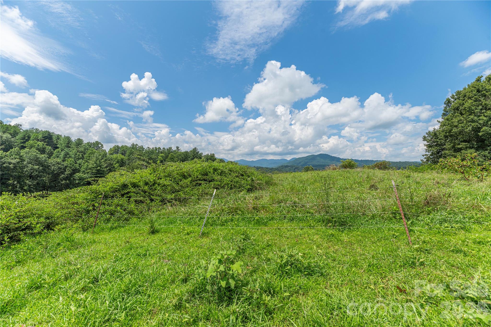 99999 Little Bo Lane Property Photo 4