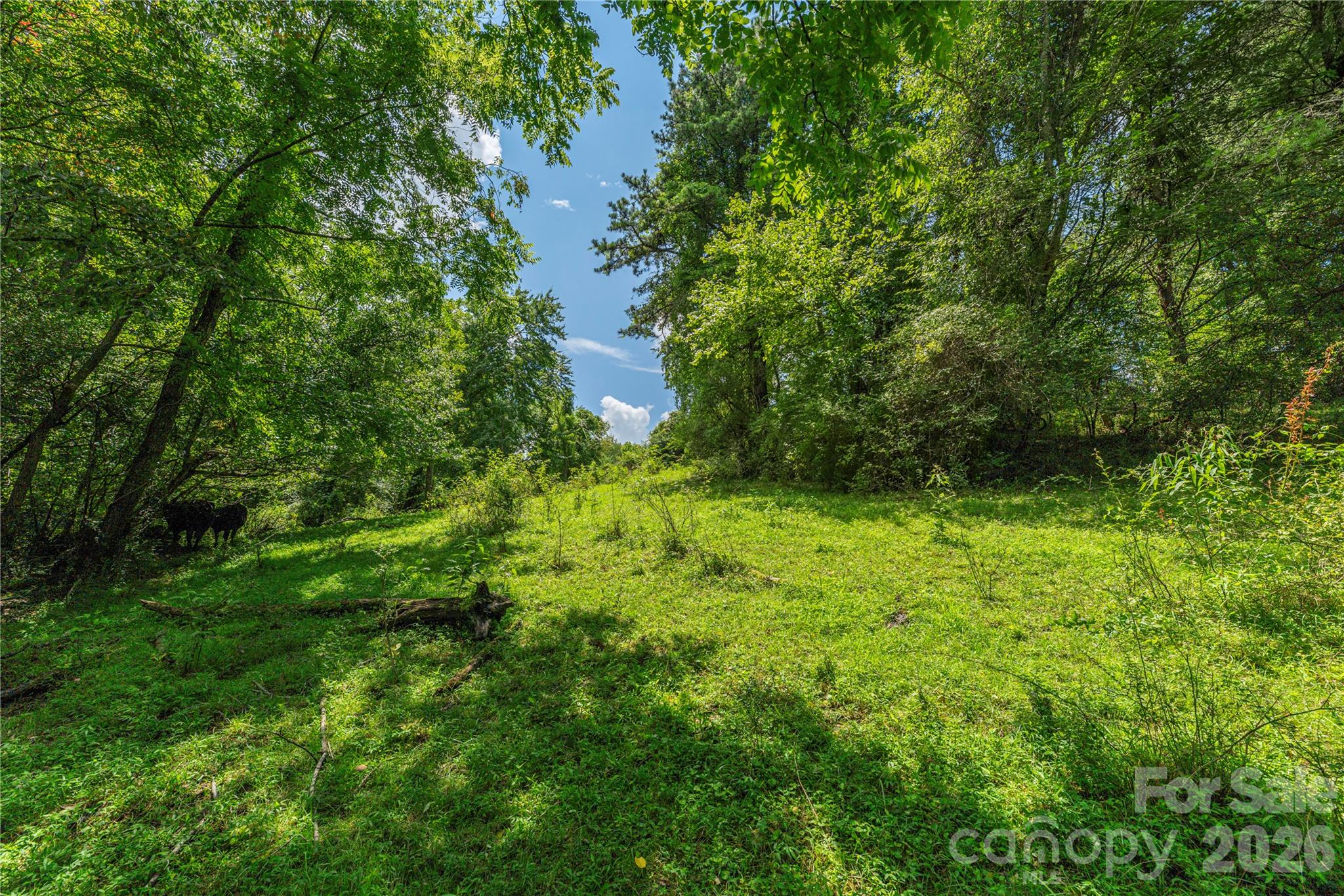 99999 Little Bo Lane Property Photo 10