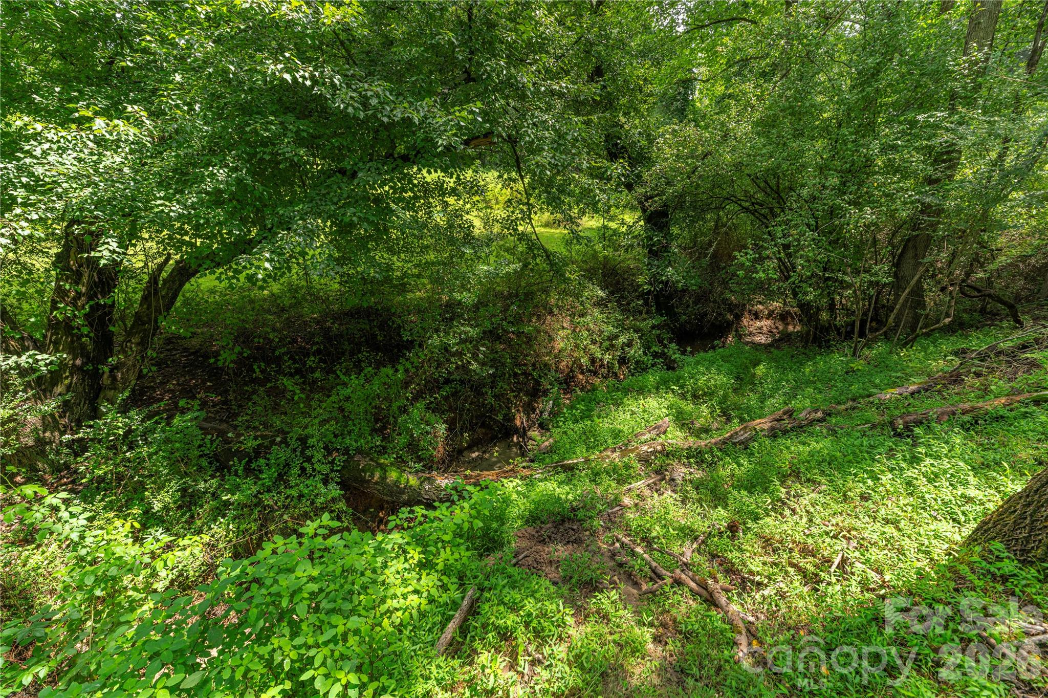 99999 Little Bo Lane Property Photo 11