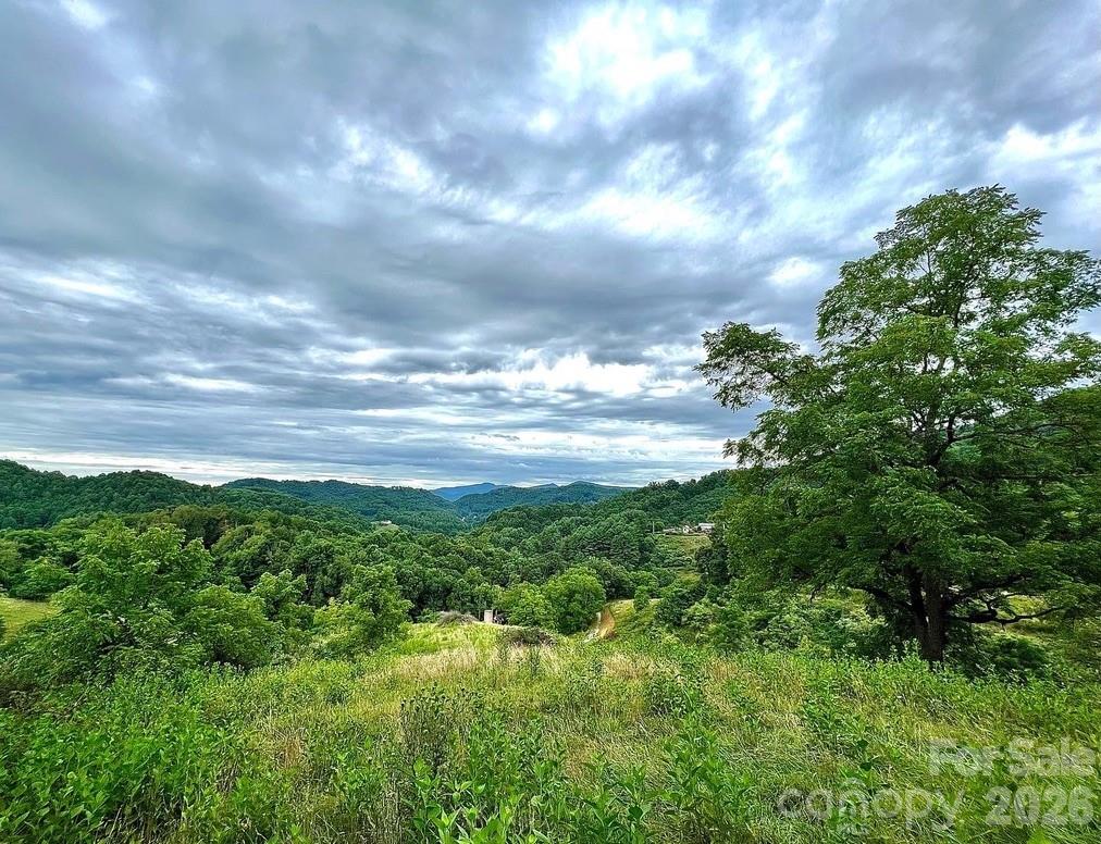 866 Georges Gap Road Property Photo 2