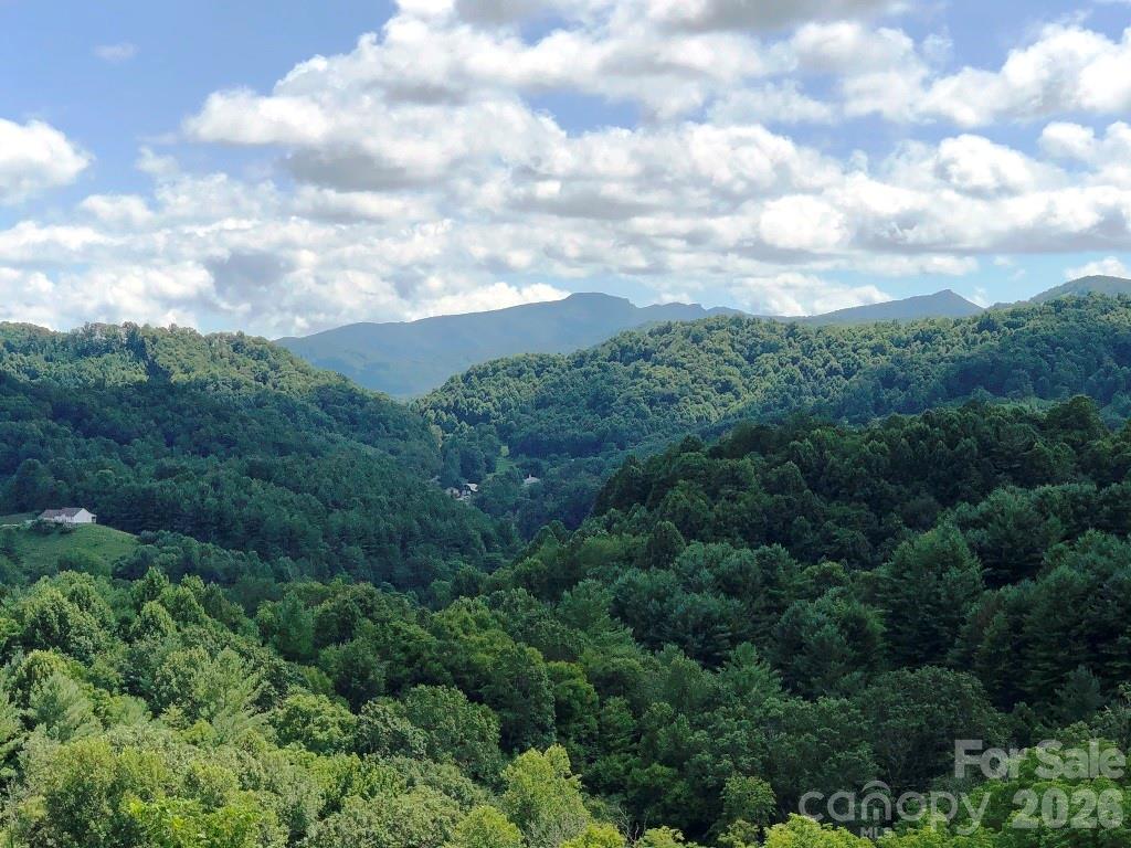 866 Georges Gap Road Property Photo 23