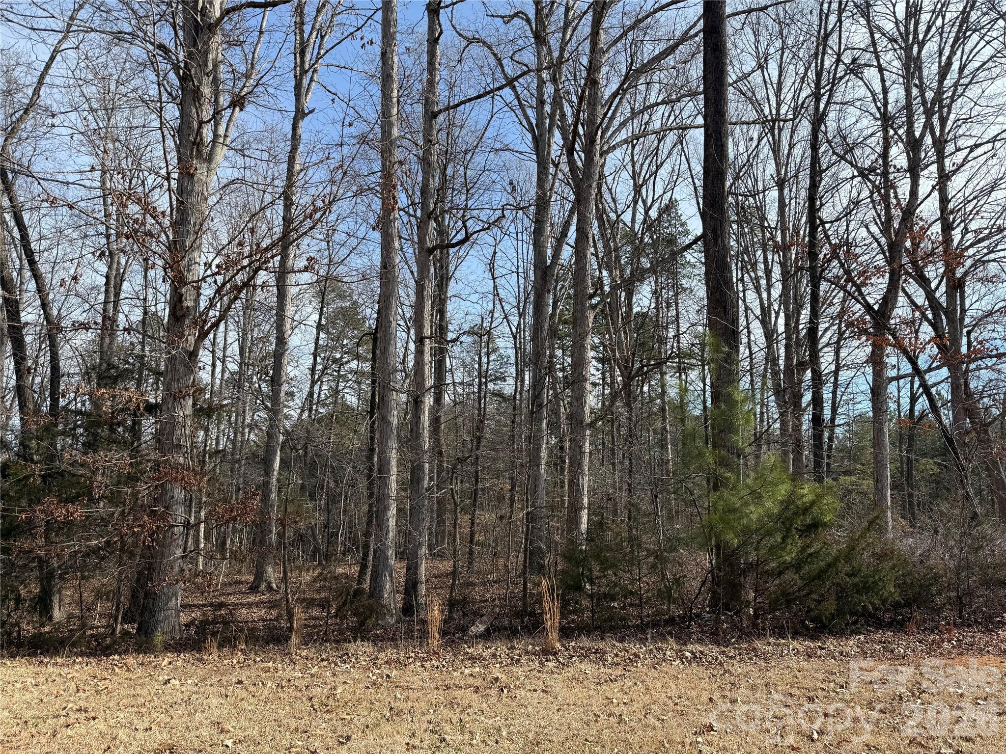 868 Bellegray Road Property Photo 3