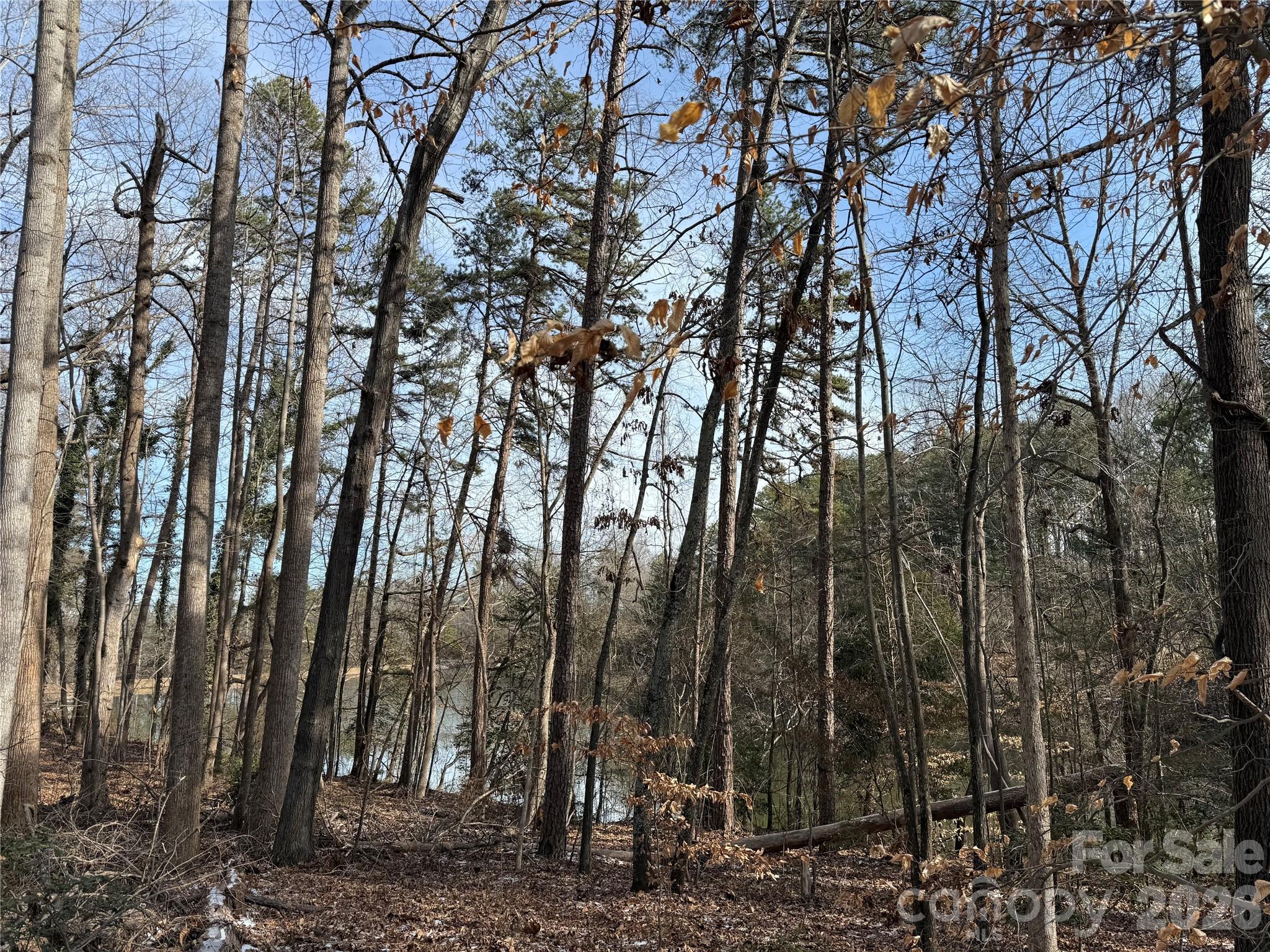 868 Bellegray Road Property Photo 4