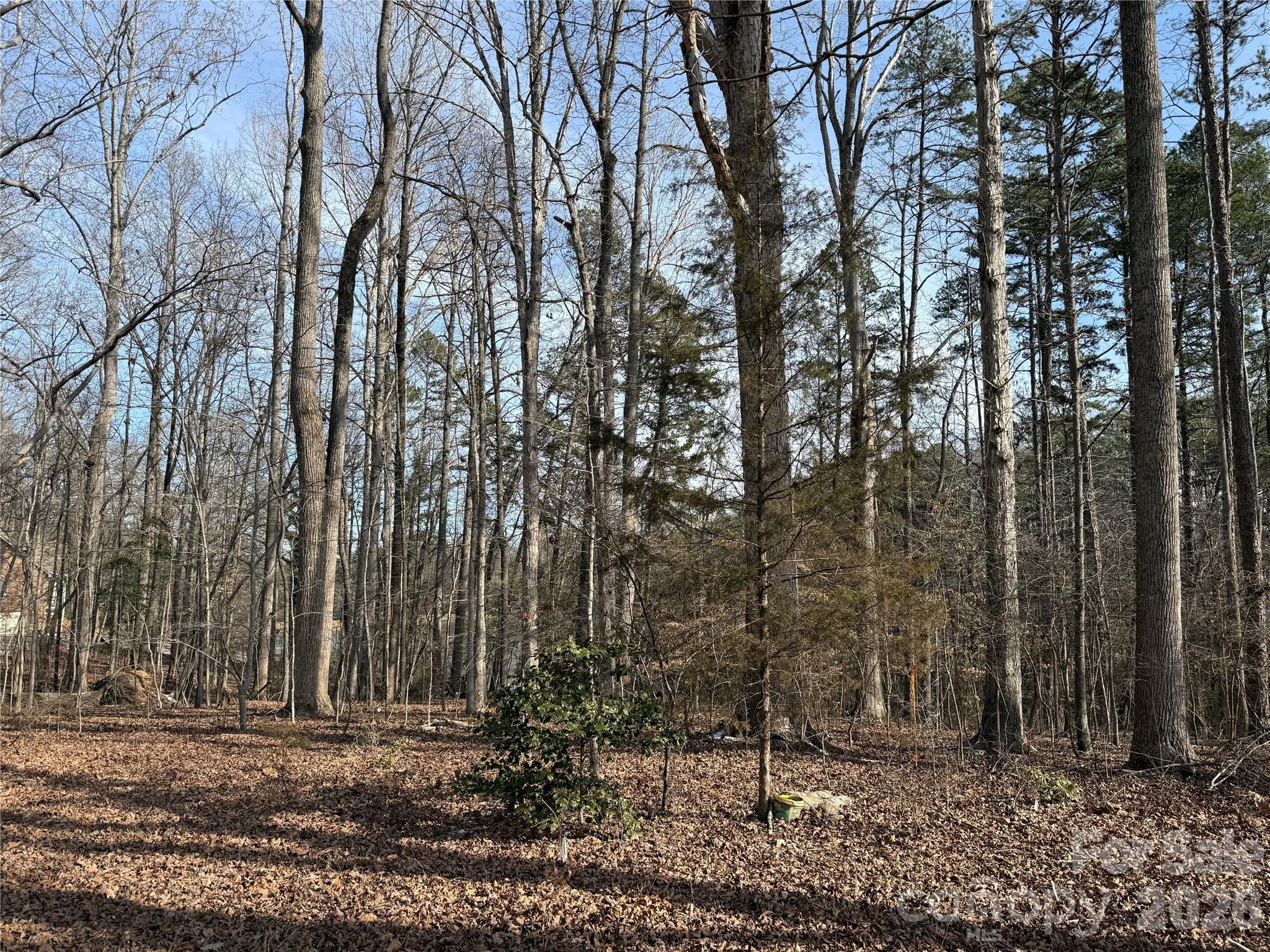 868 Bellegray Road Property Photo 5