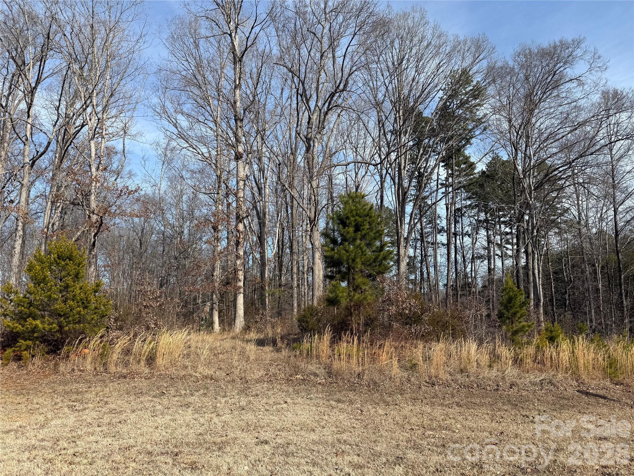 868 Bellegray Road Property Photo 6