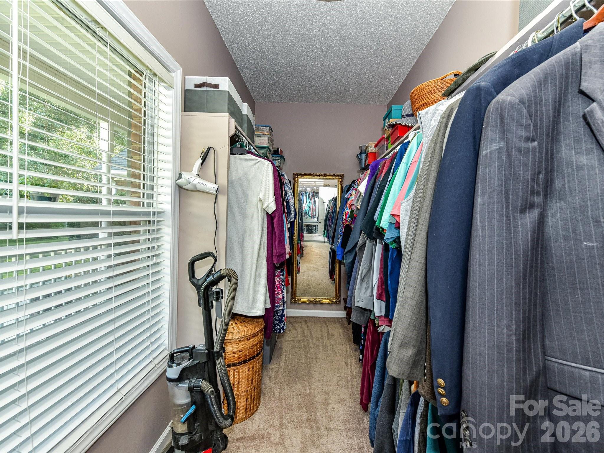 8227 Laurel Oak Court Property Photo 20