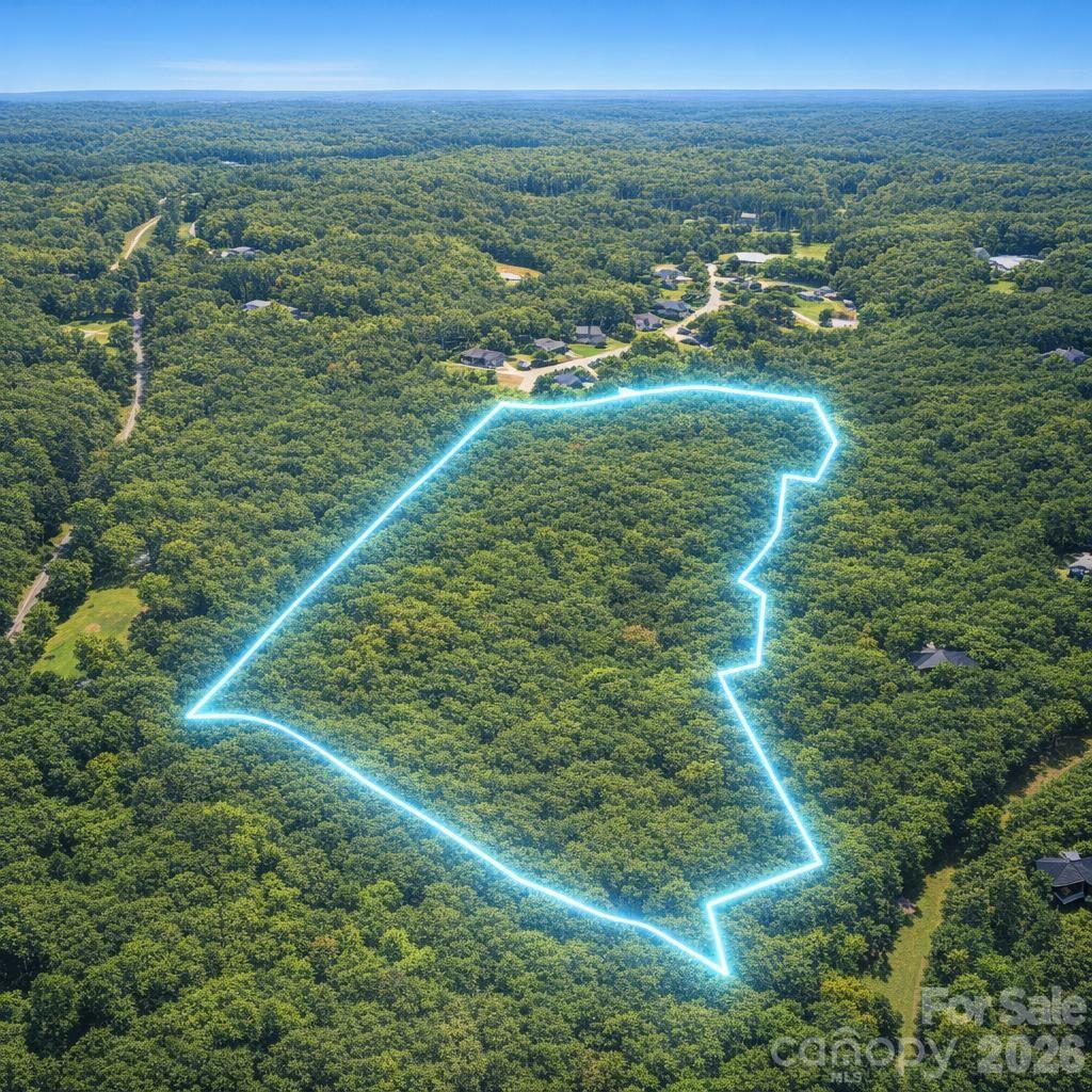 25 Ac Brandon Road Property Photo