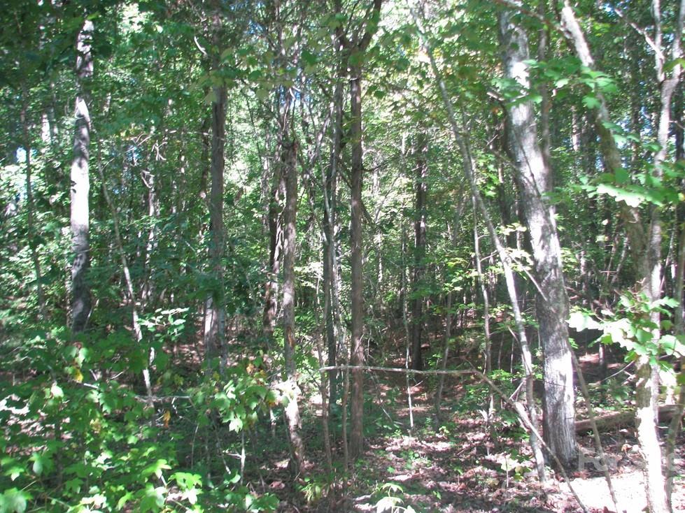 25 Ac Brandon Road Property Photo 4