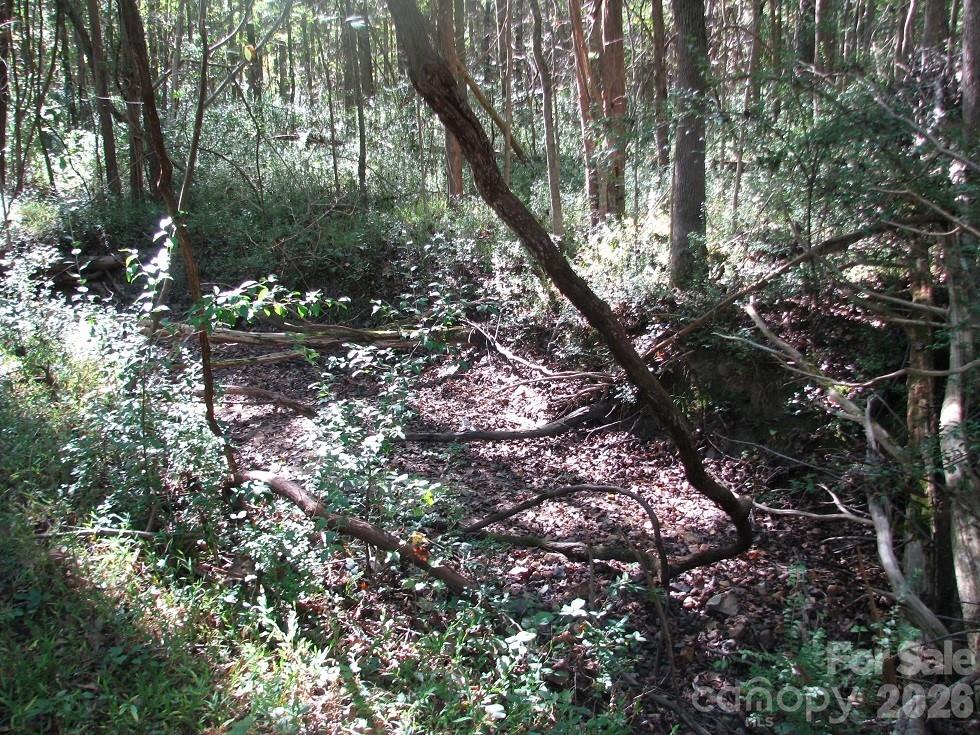 25 Ac Brandon Road Property Photo 5