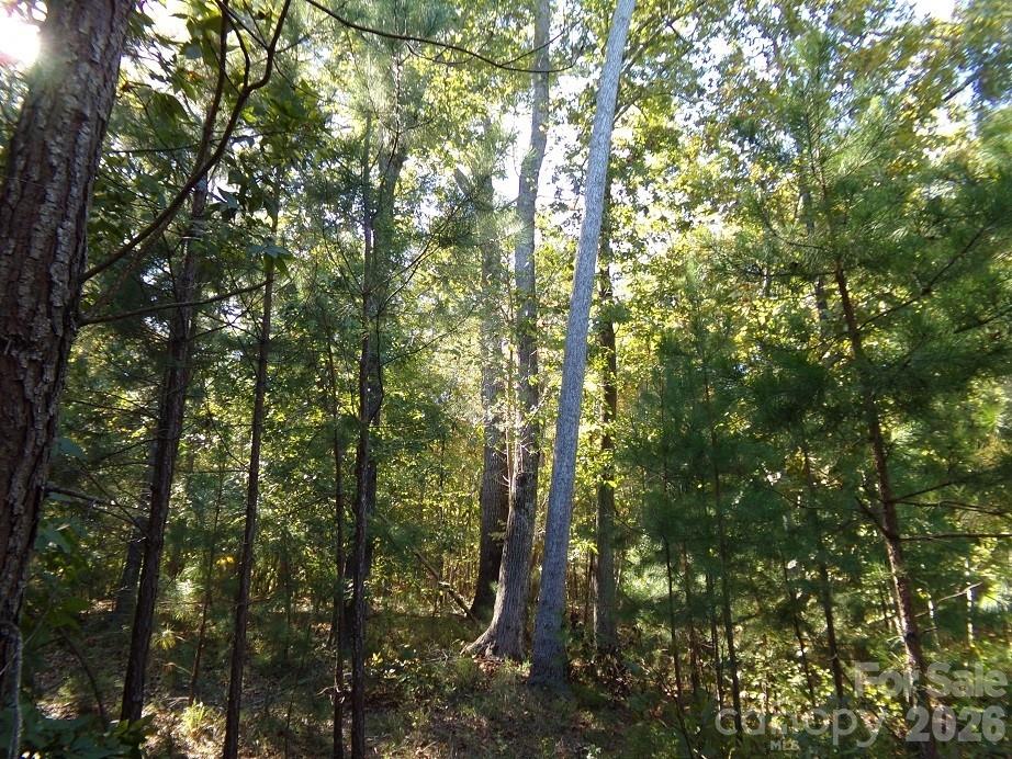 25 Ac Brandon Road Property Photo 6
