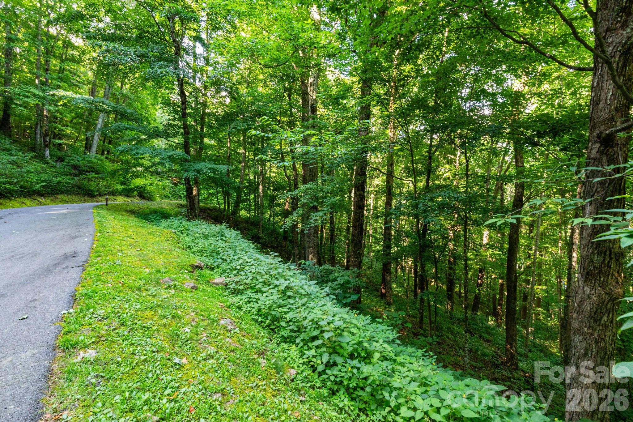 Lot 25 Finlaystone Trace 25 Property Photo 1