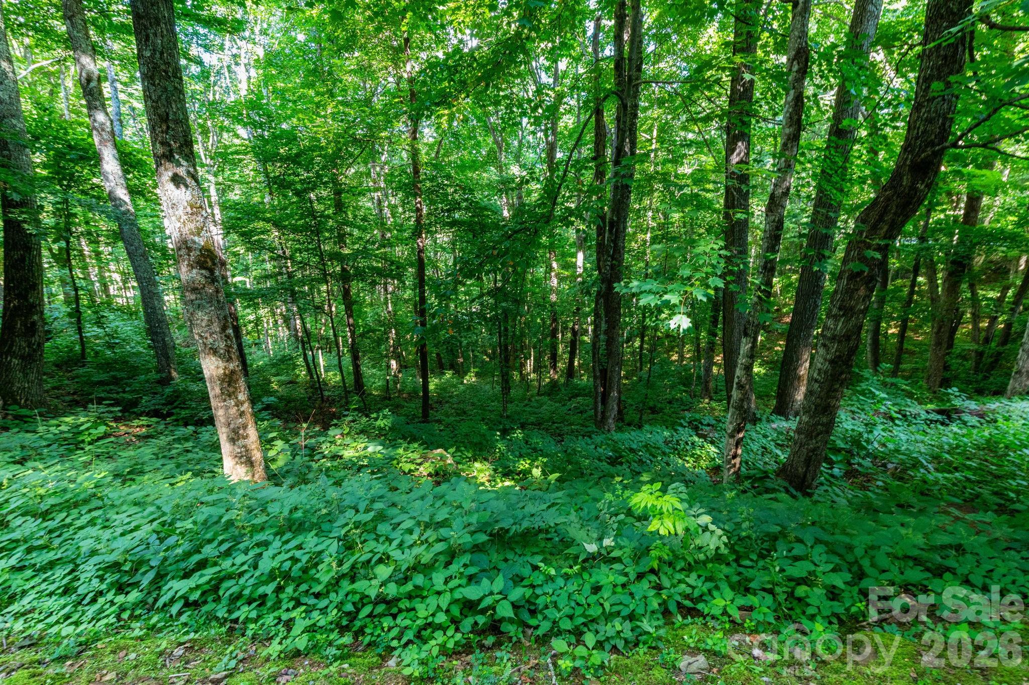 Lot 25 Finlaystone Trace 25 Property Photo 2