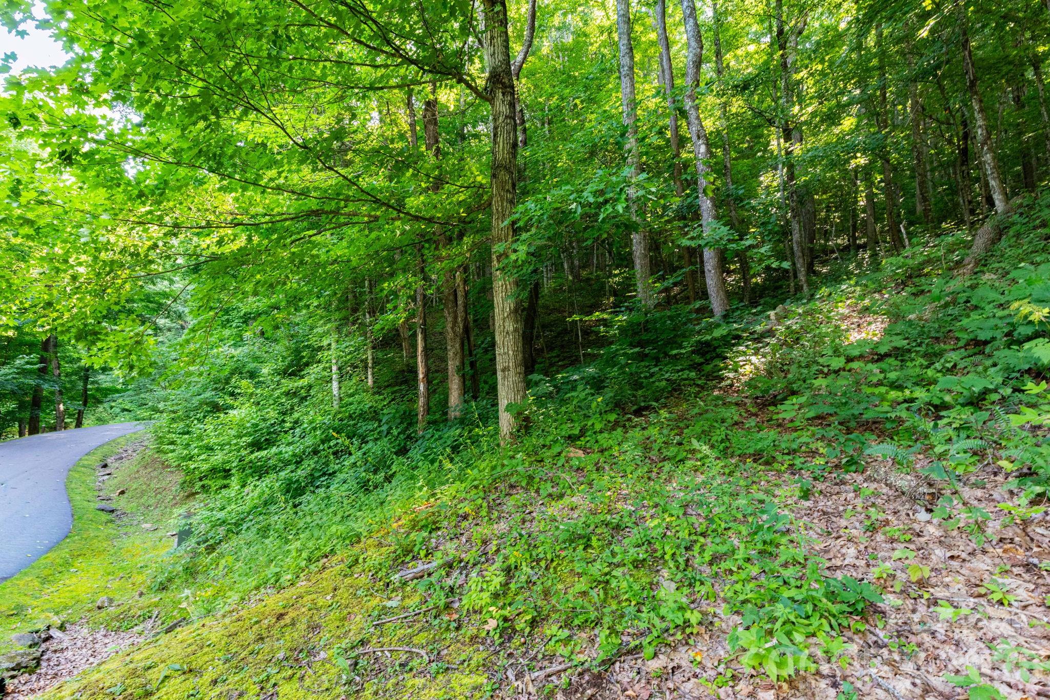 Lot 30 Finlaystone Trace 30 Property Photo 1