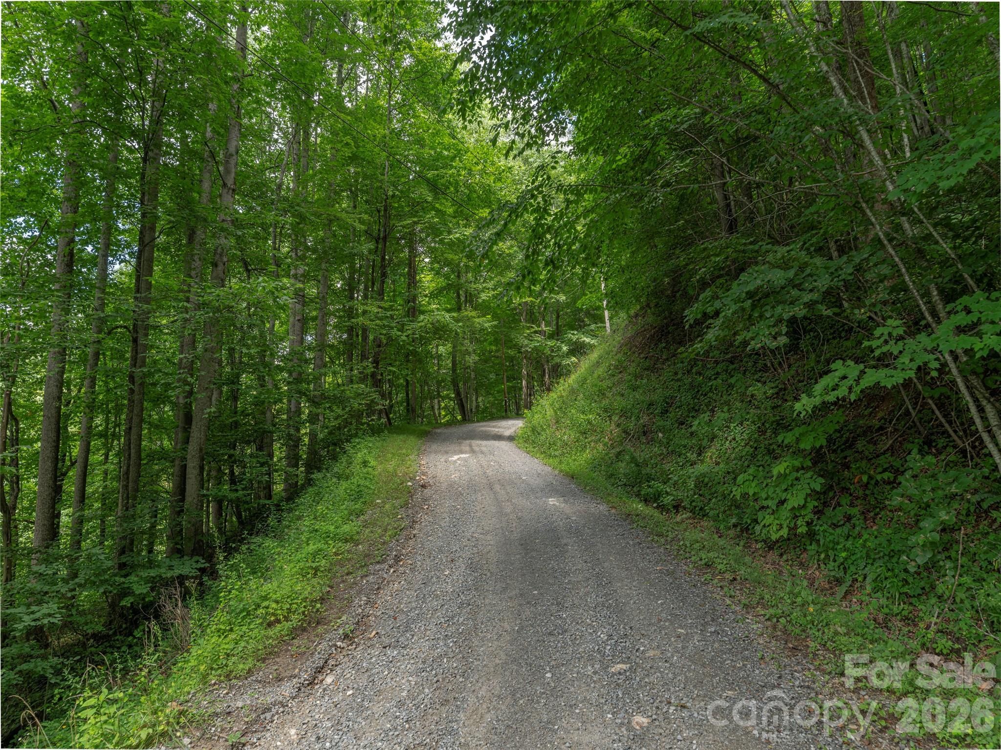 0 Rough Knob Road Property Photo 1