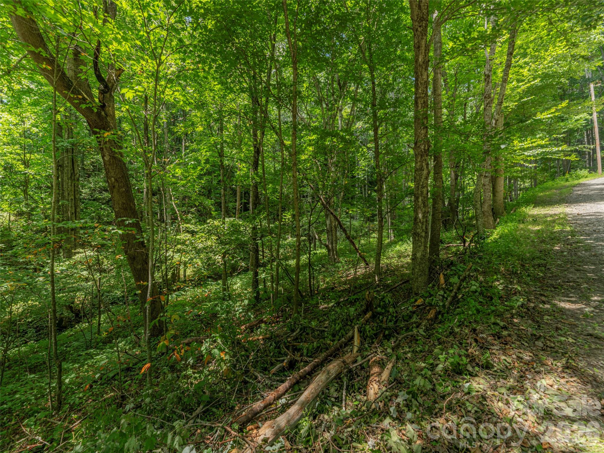 000 Rough Knob Road Property Photo 1
