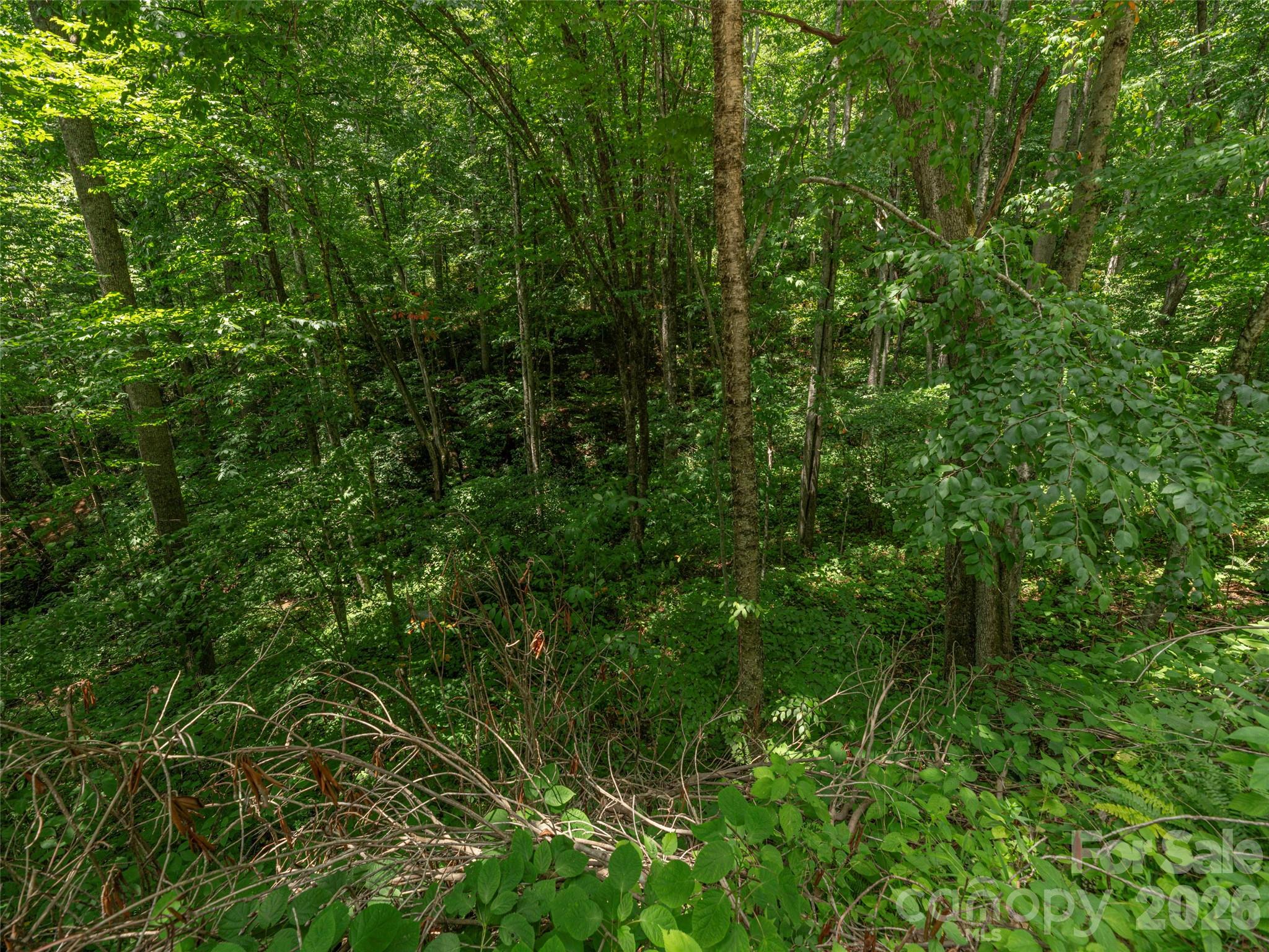 000 Rough Knob Road Property Photo 2