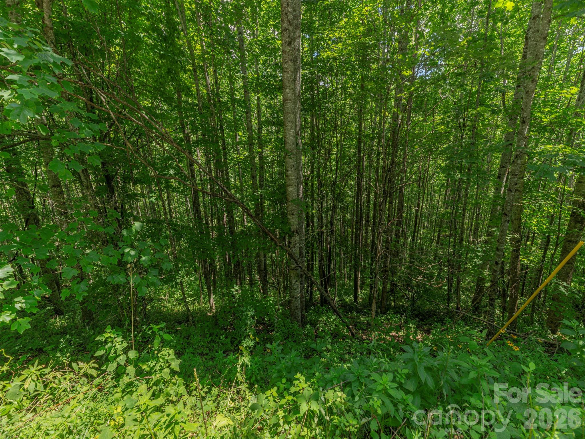 000 Rough Knob Road Property Photo 3