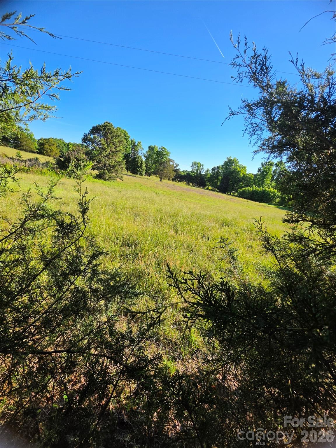 12505 Oscar Road Property Photo 3