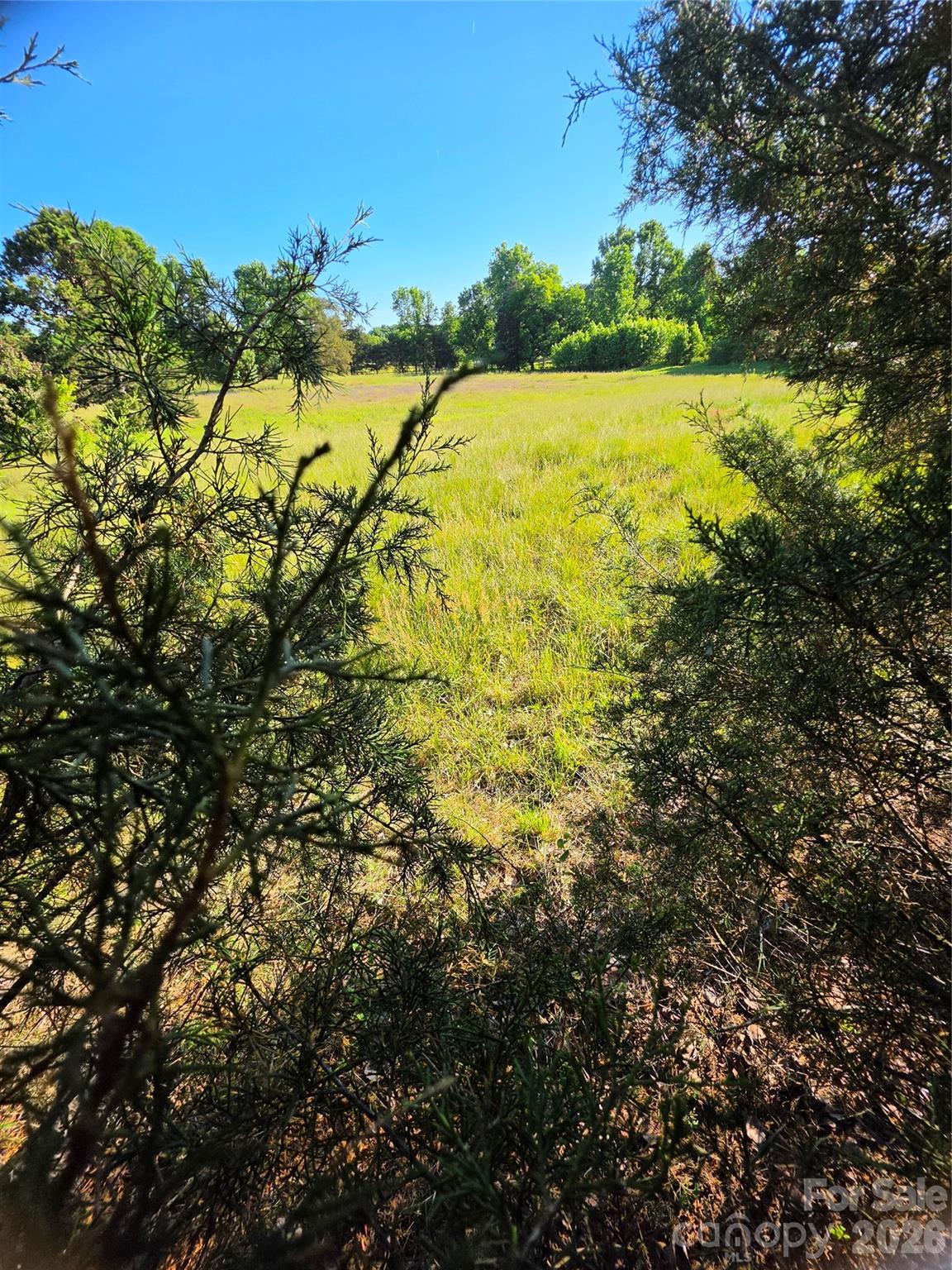 12505 Oscar Road Property Photo 4
