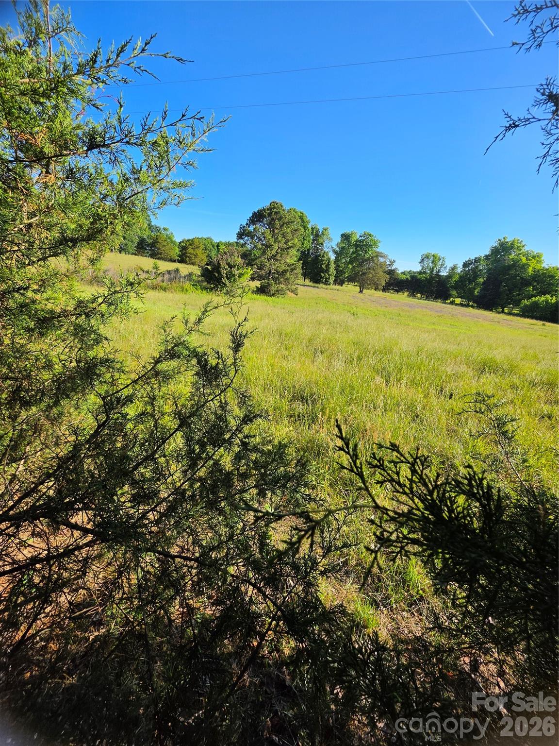 12505 Oscar Road Property Photo 6