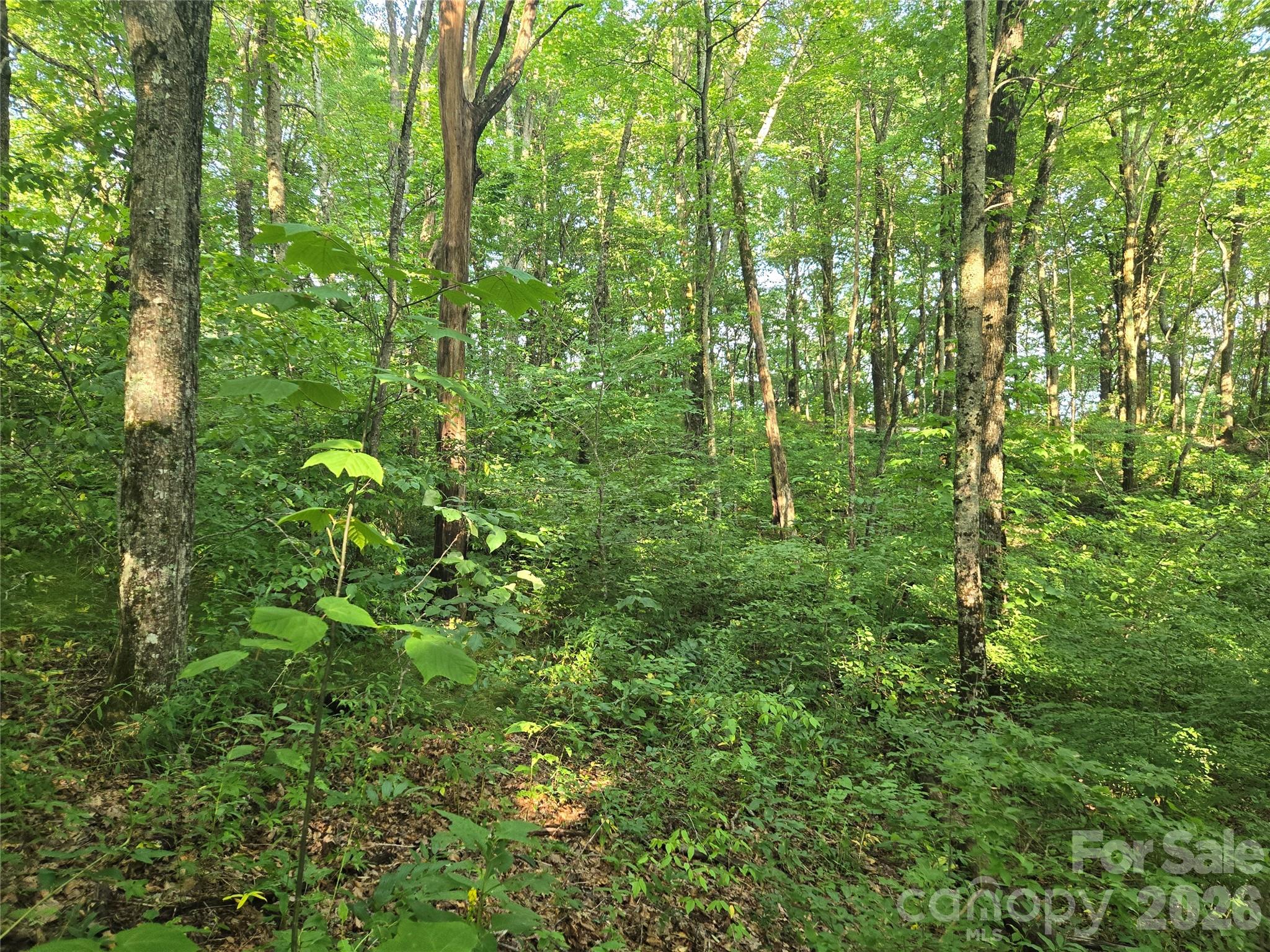 000 Greenspire Drive Property Photo 10