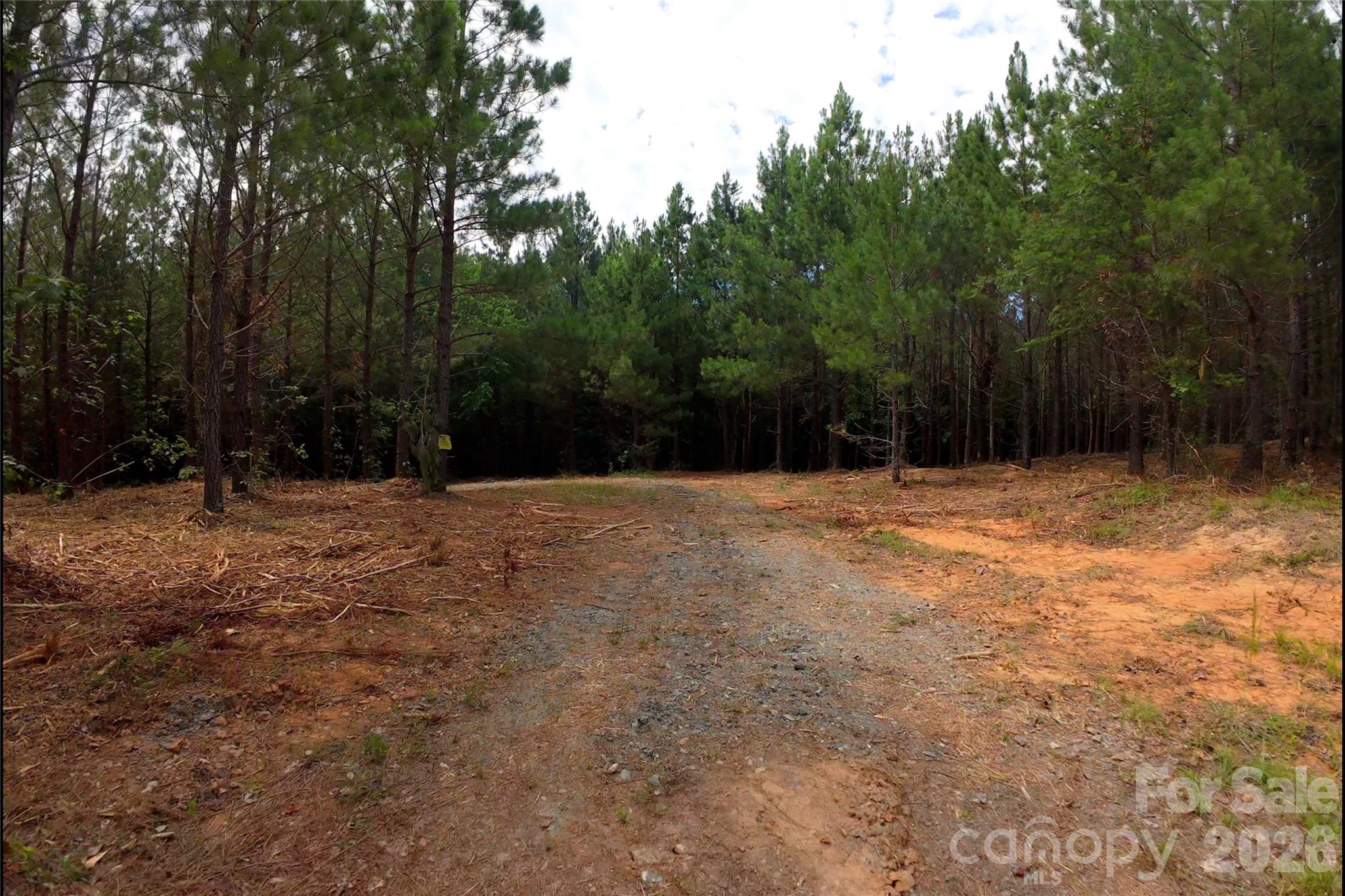 8 Morrison Road Property Photo 3