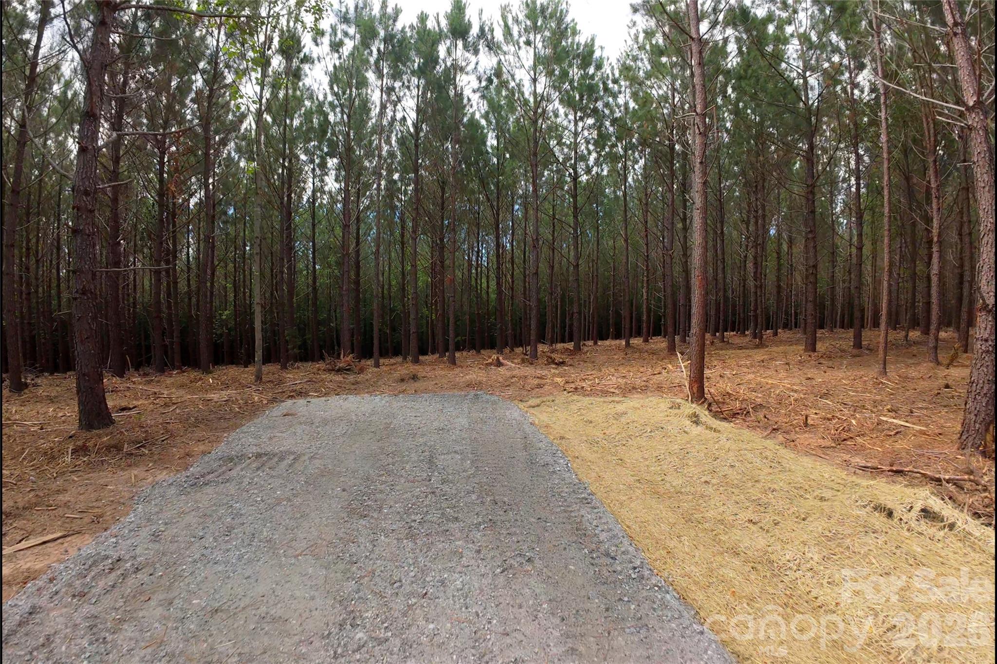 9 Morrison Road Property Photo 4