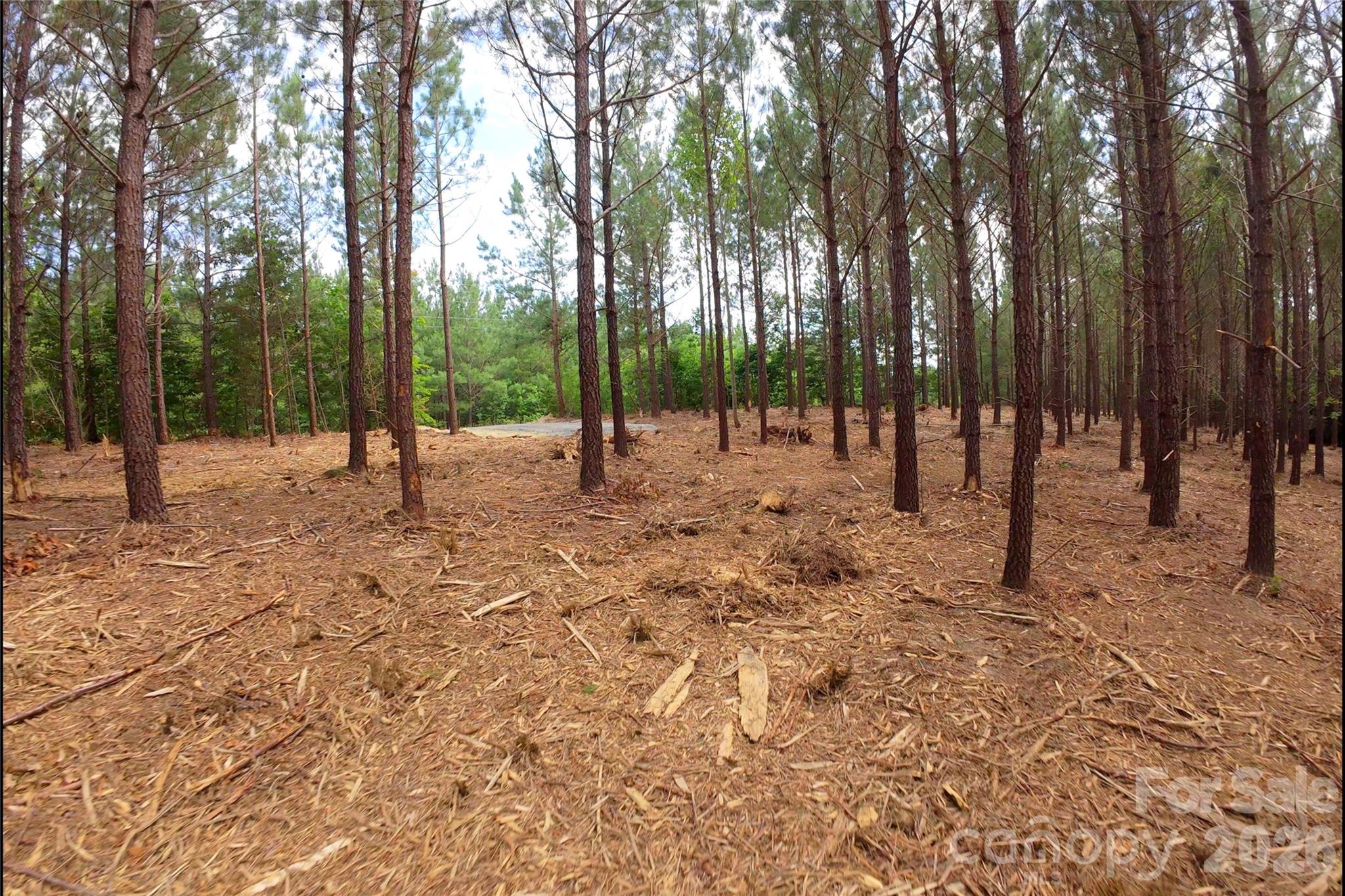 9 Morrison Road Property Photo 5