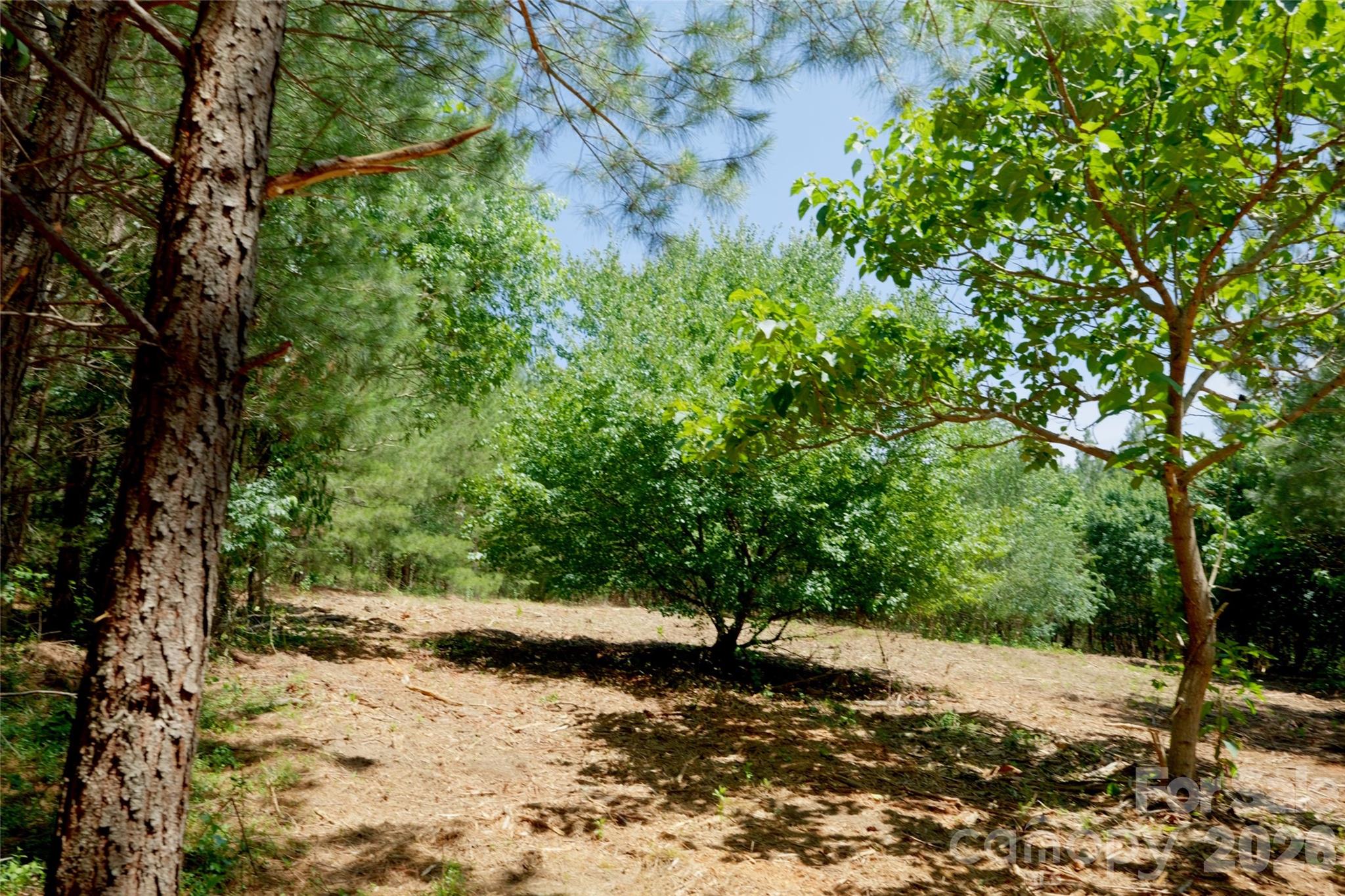 11 Morrison Road 11 Property Photo 12