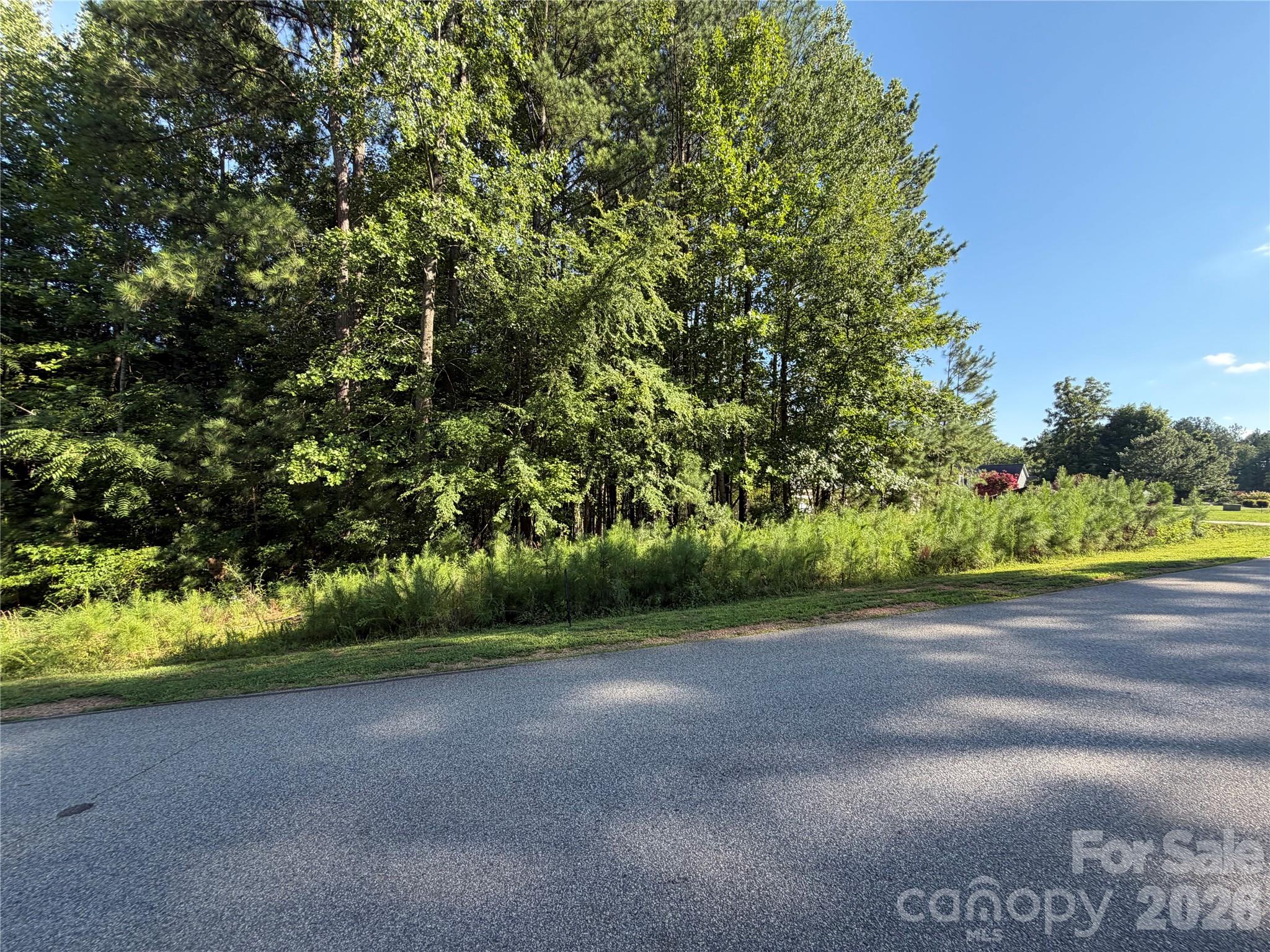621 Sunset Pointe Drive Property Photo 3