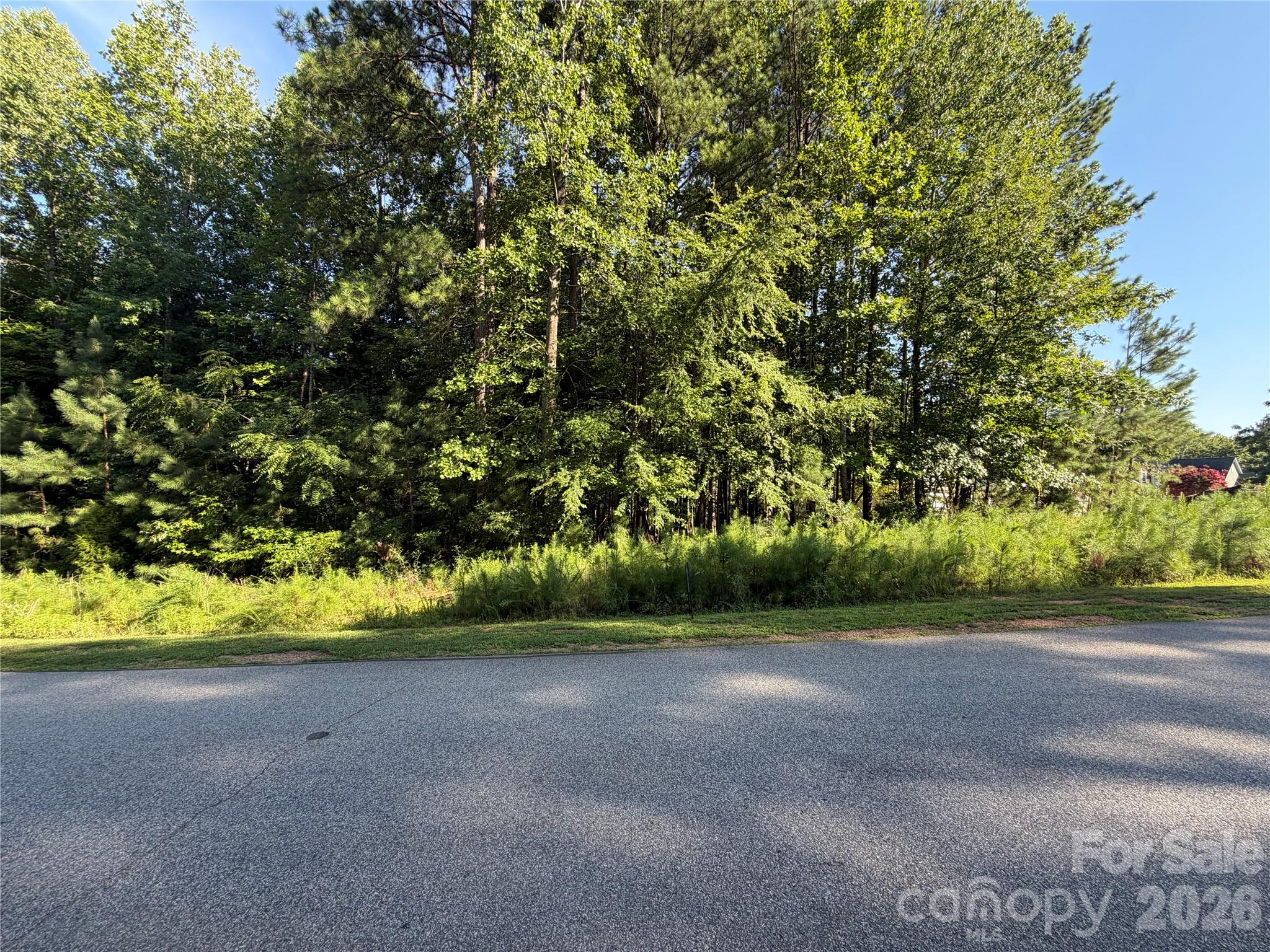 621 Sunset Pointe Drive Property Photo 4