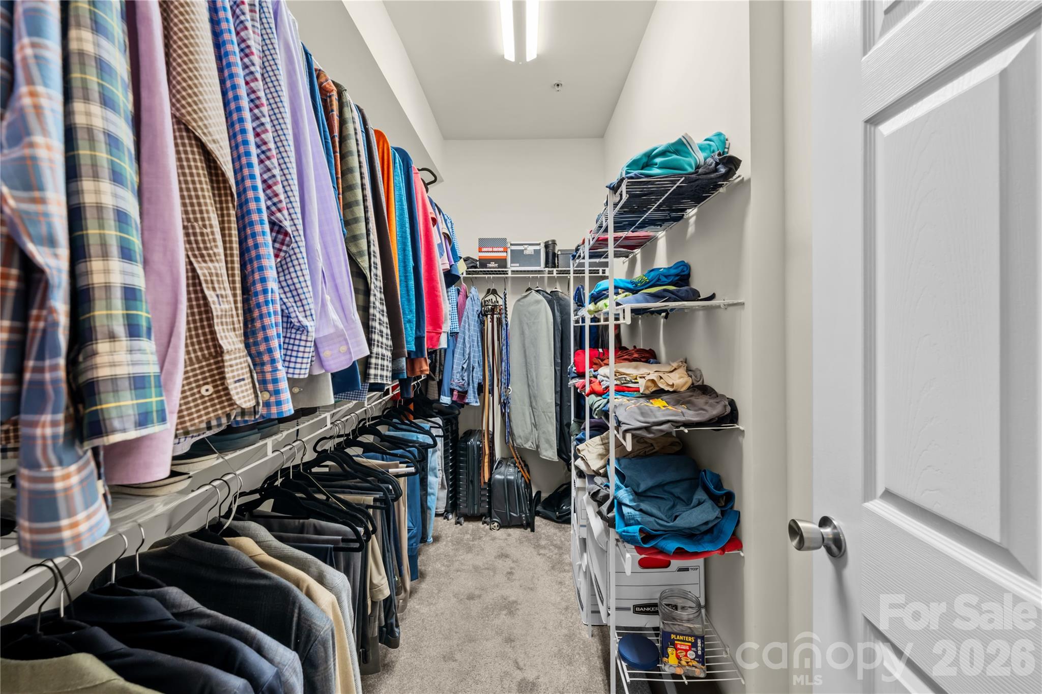 11576 Costigan Lane 8404 Property Photo 14