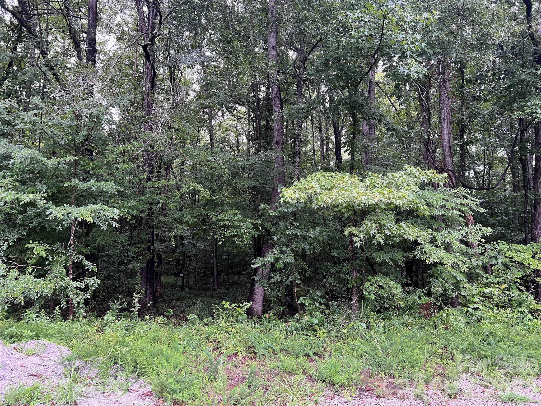 6 Wilderness Lane 14 Property Photo 1
