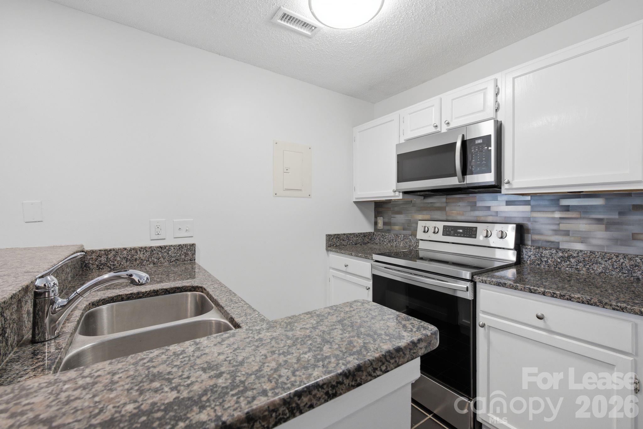 18865 Vineyard Point Lane Property Photo 9