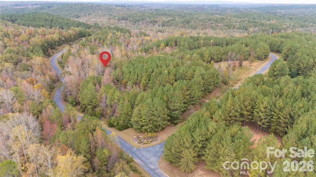 142 Broad River Highlands Drive Lot #19 Property Photo 7