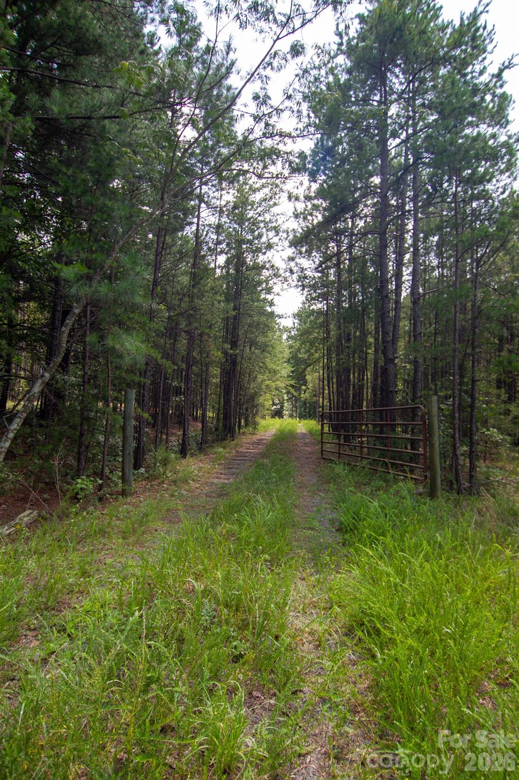2682 Cold Springs Road Property Photo 2