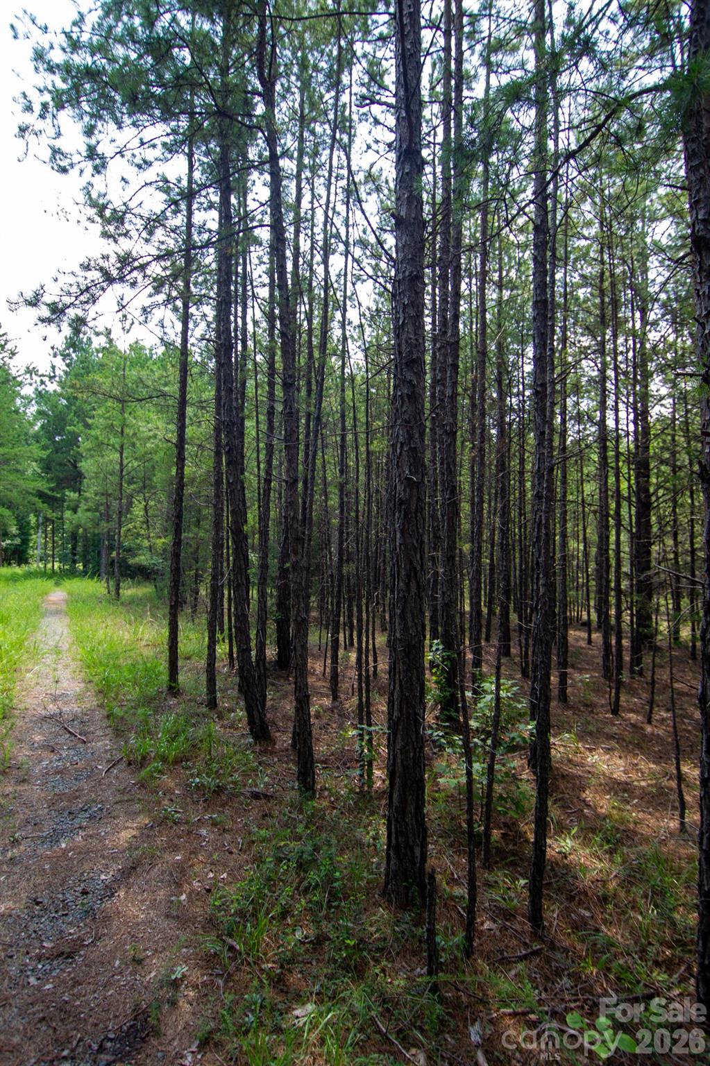 2682 Cold Springs Road Property Photo 3
