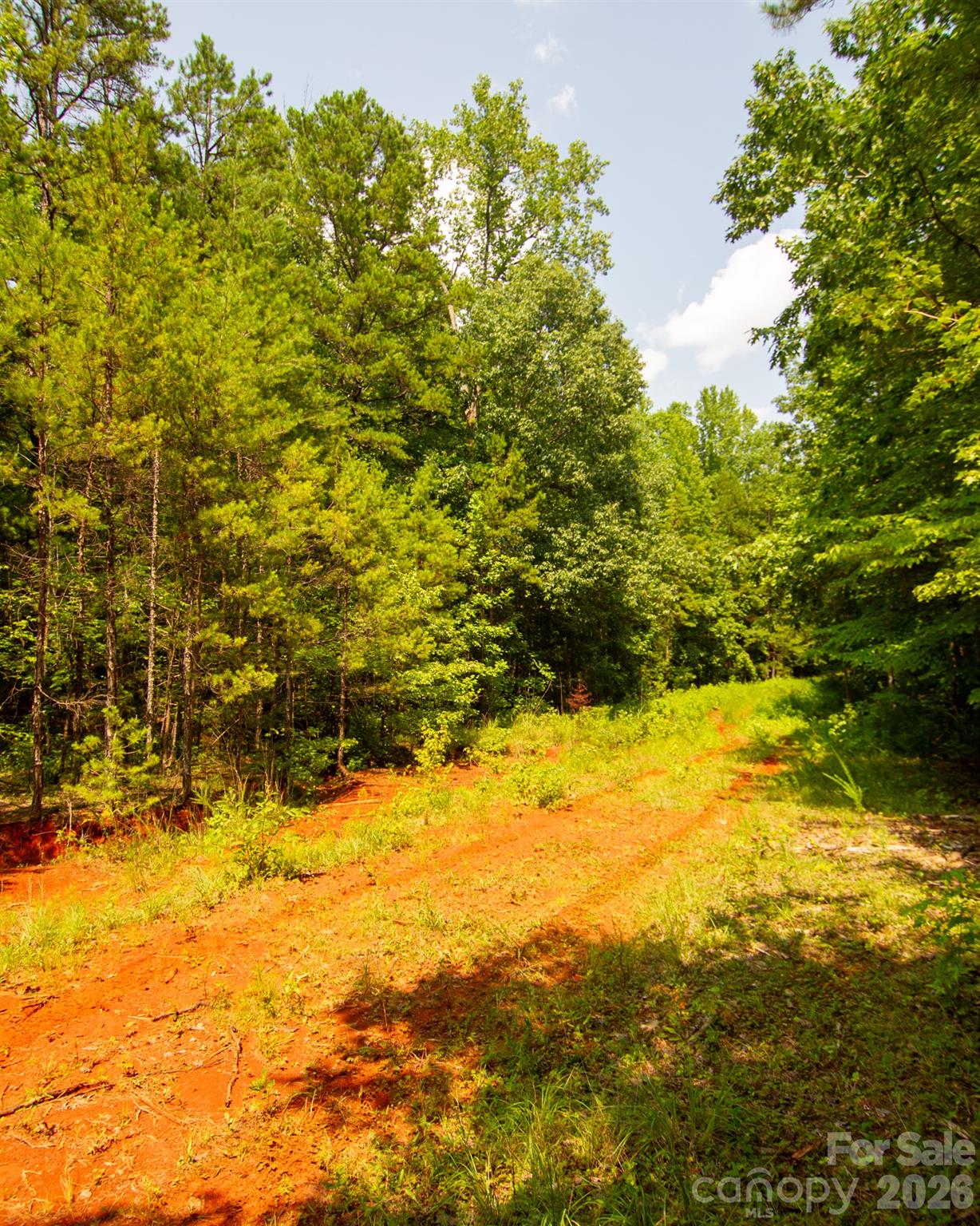 2682 Cold Springs Road Property Photo 5