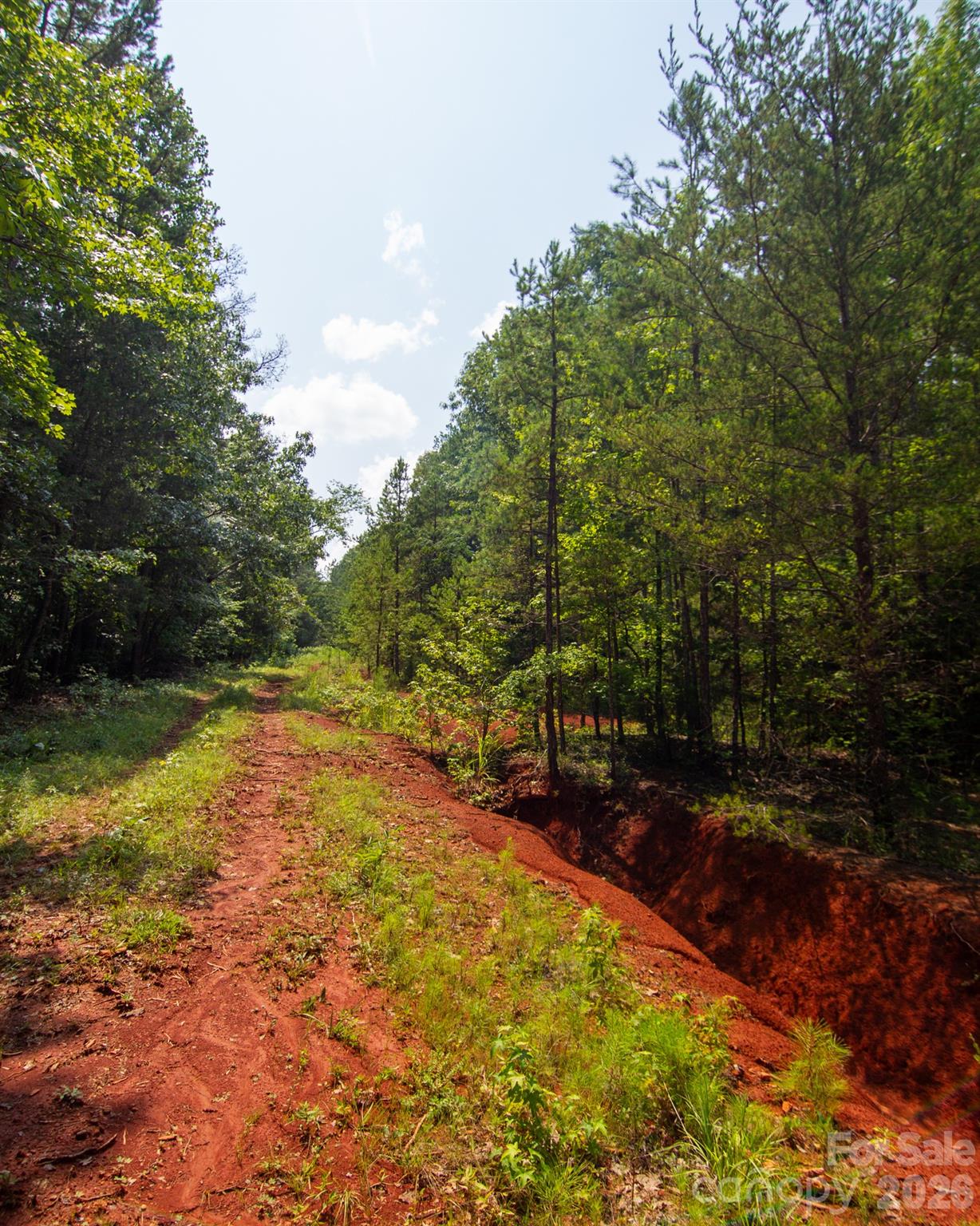 2682 Cold Springs Road Property Photo 6