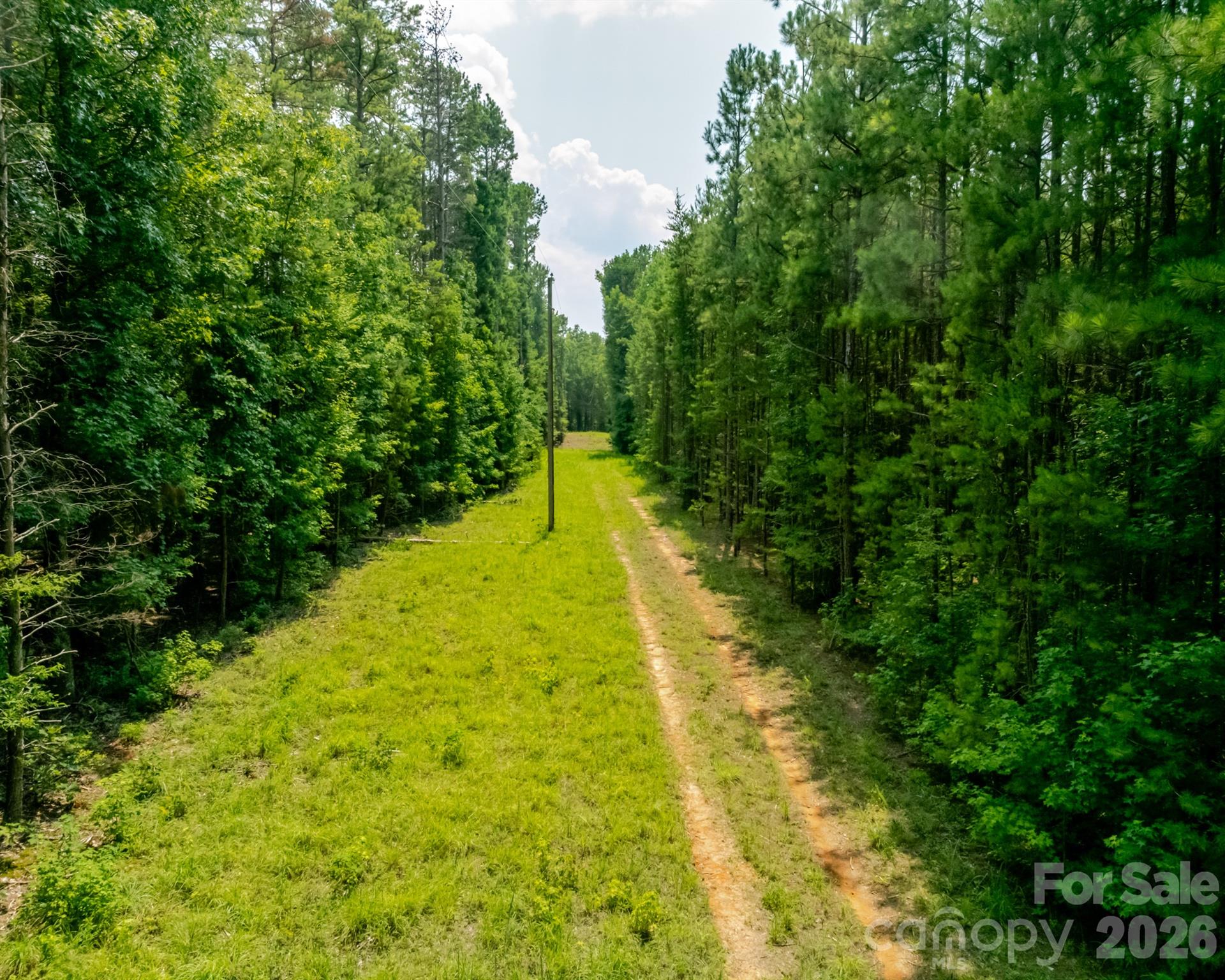 2682 Cold Springs Road Property Photo 7