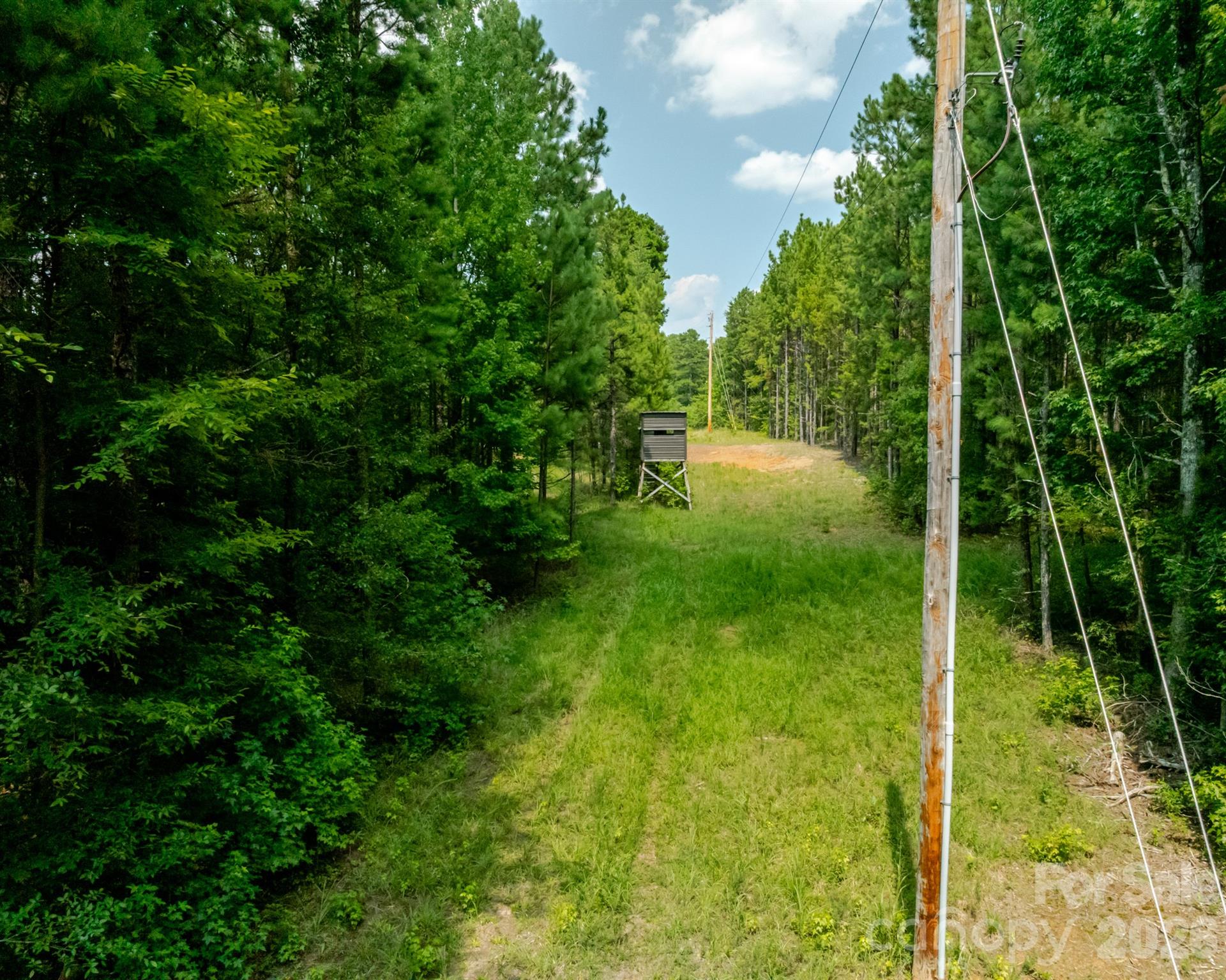 2682 Cold Springs Road Property Photo 8