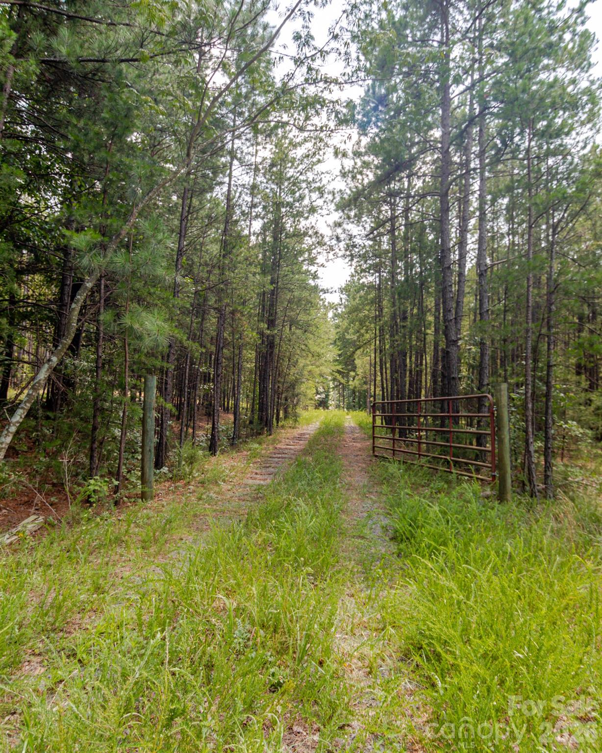 2682 Cold Springs Road Property Photo 9