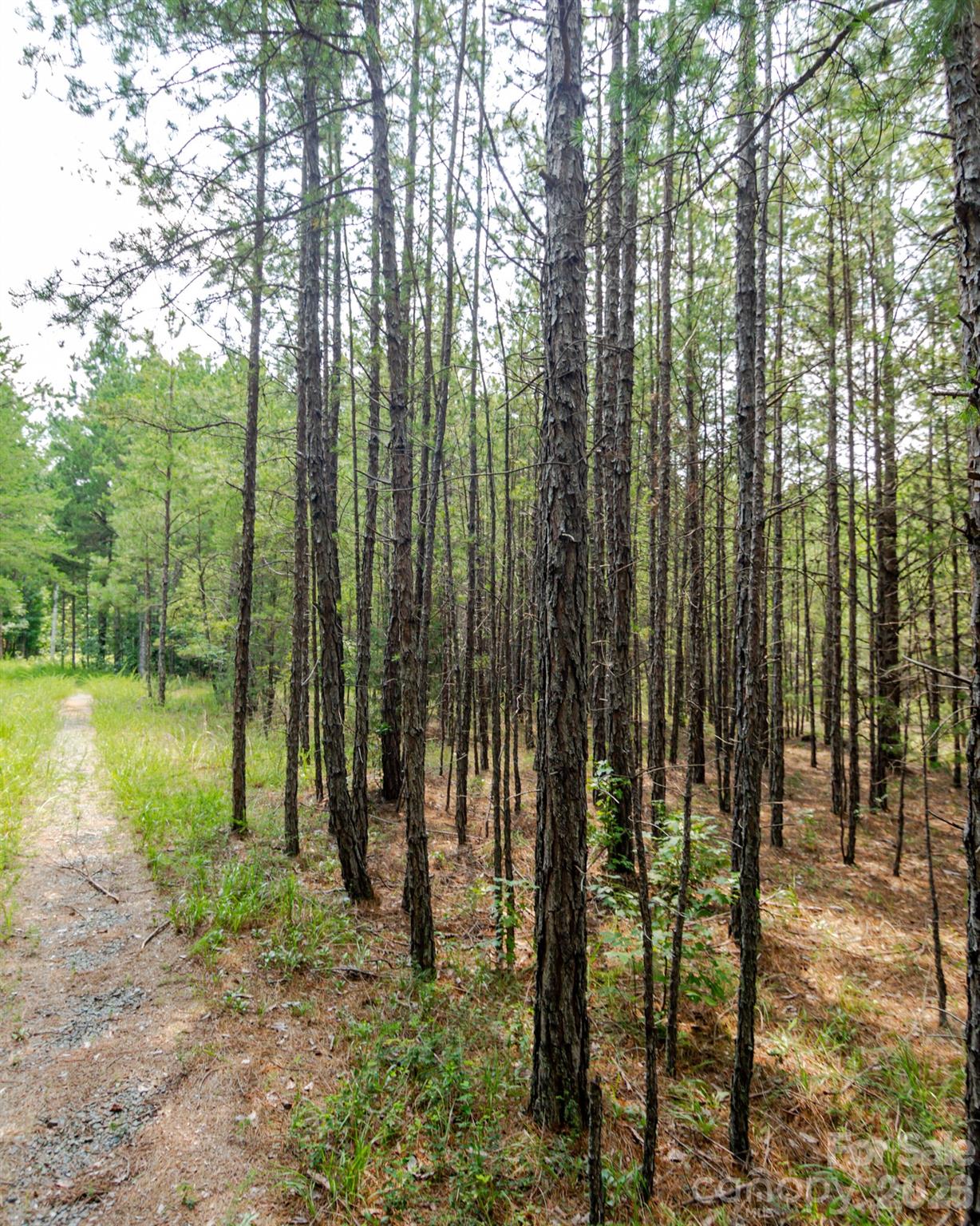 2682 Cold Springs Road Property Photo 10