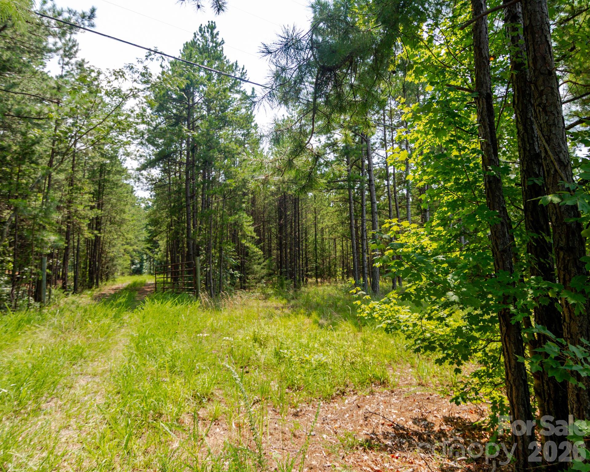 2682 Cold Springs Road Property Photo 11