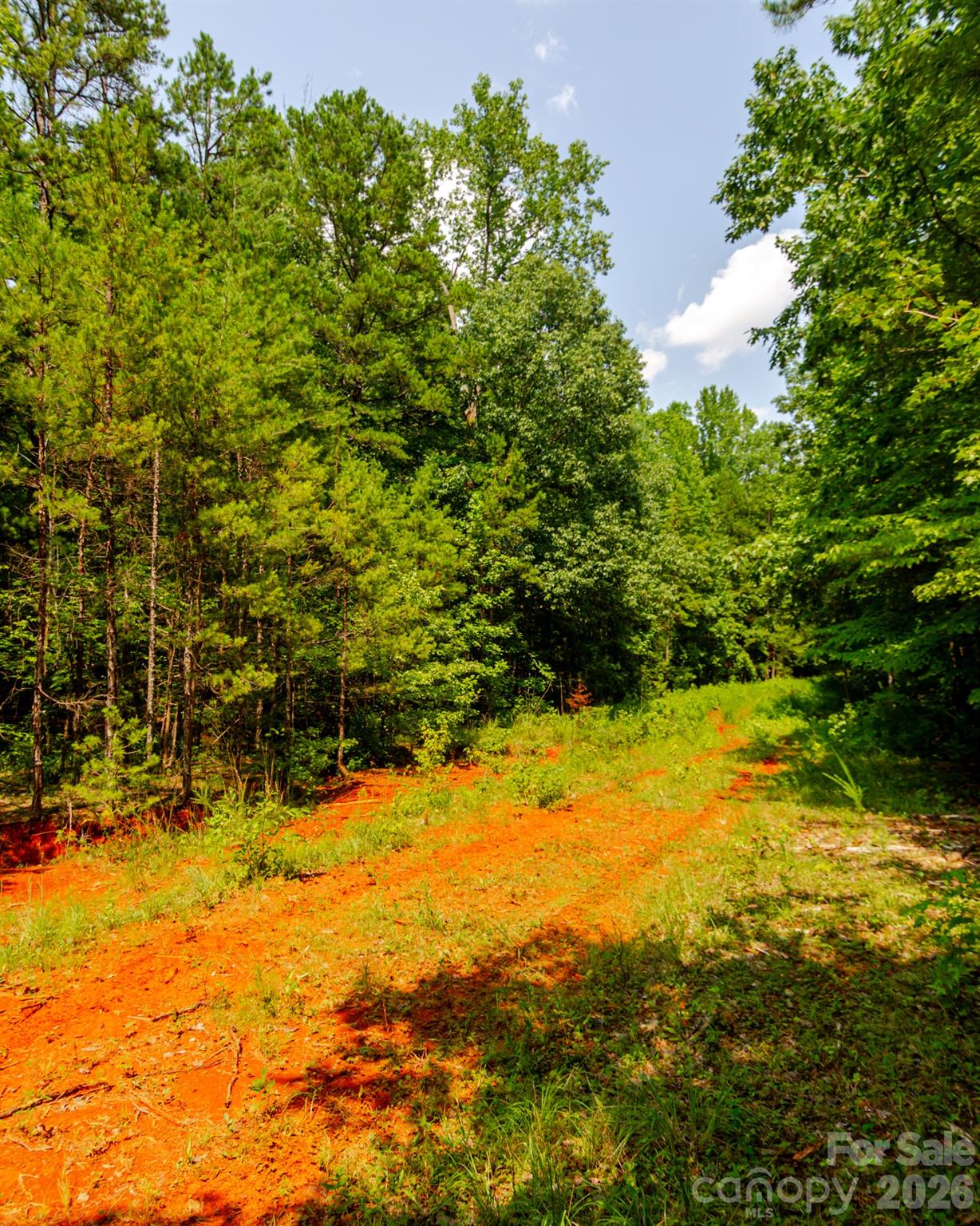 2682 Cold Springs Road Property Photo 12