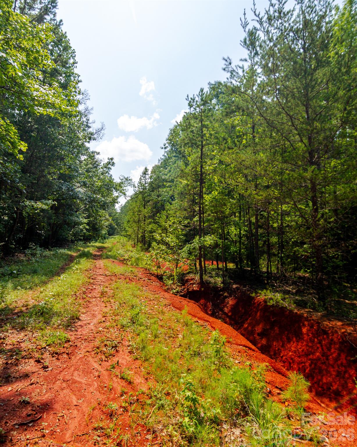 2682 Cold Springs Road Property Photo 13